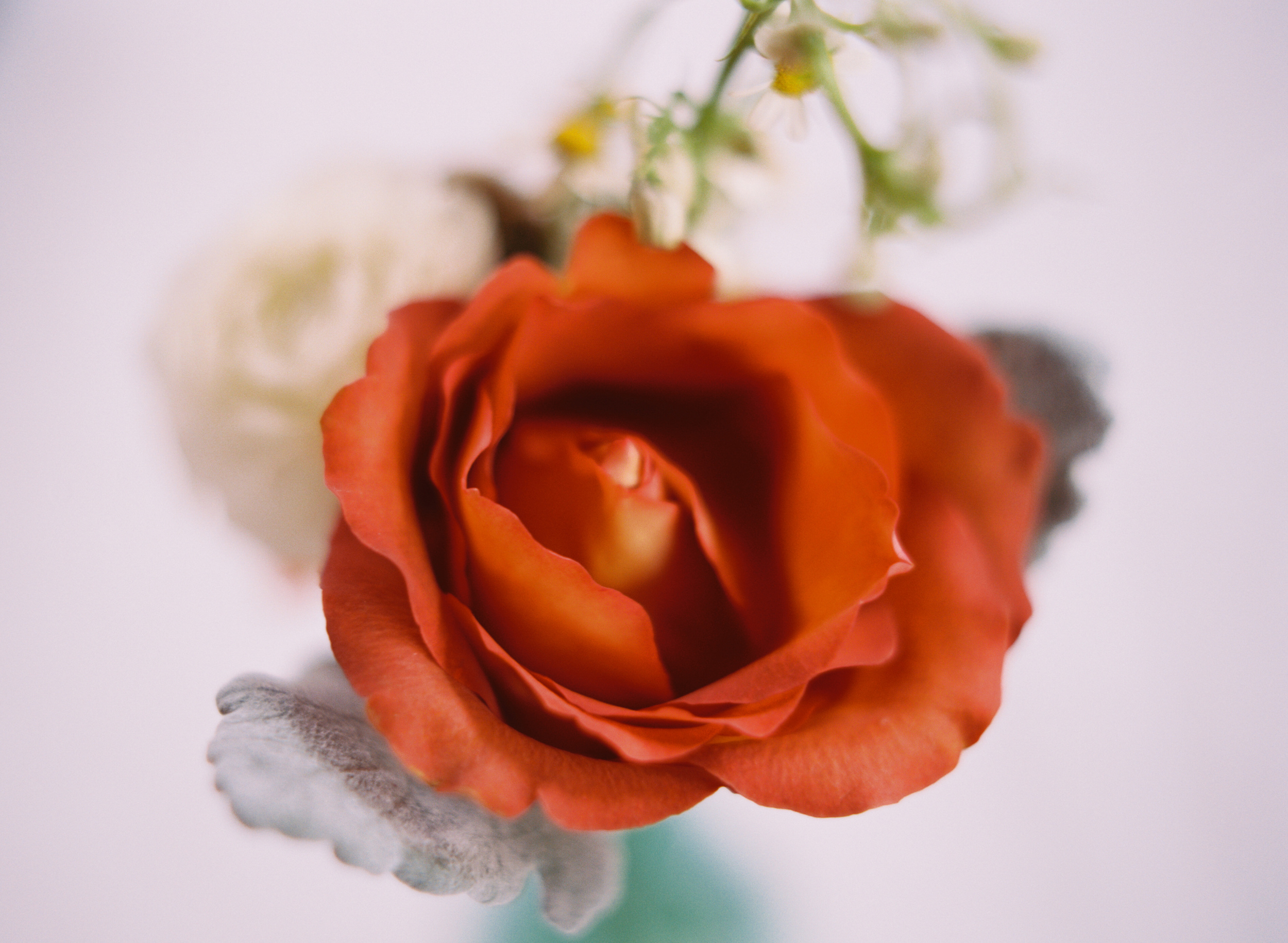 Houston Wedding // Flowers by Rosemary & Finch // Austin Gros Photography