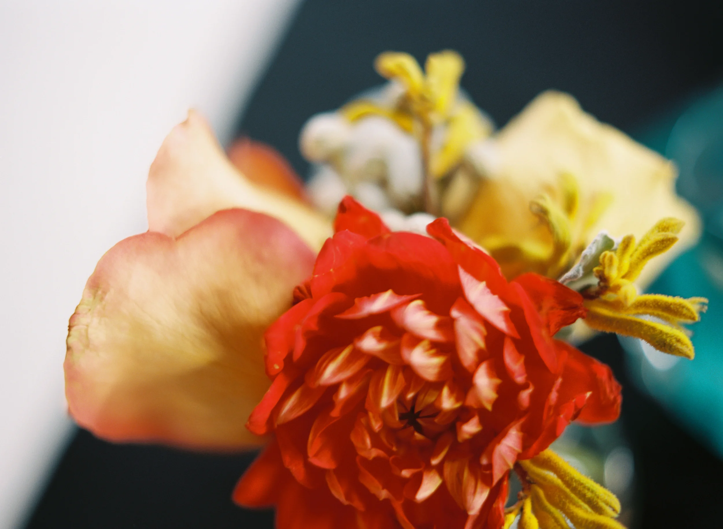 Houston Wedding // Flowers by Rosemary & Finch // Austin Gros Photography