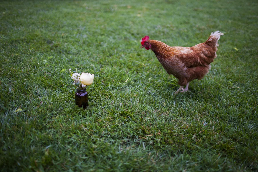 The NotWedding Styled Shoot