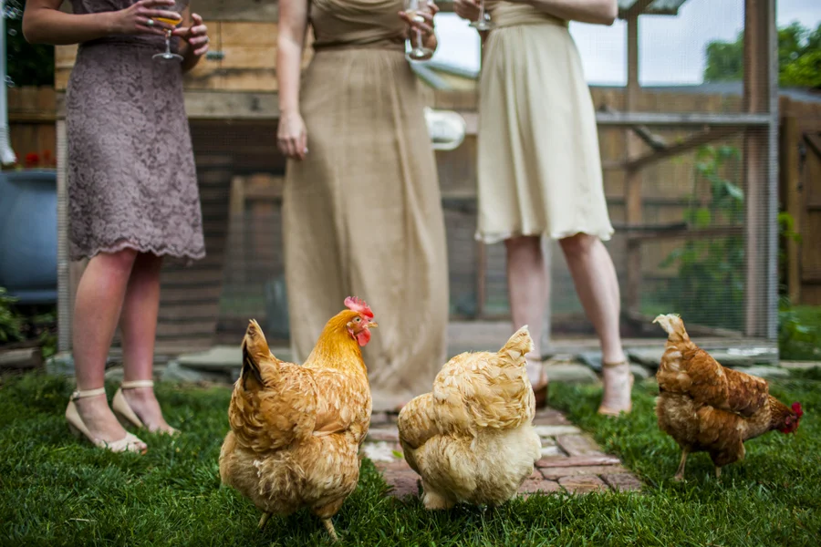 The NotWedding Styled Shoot