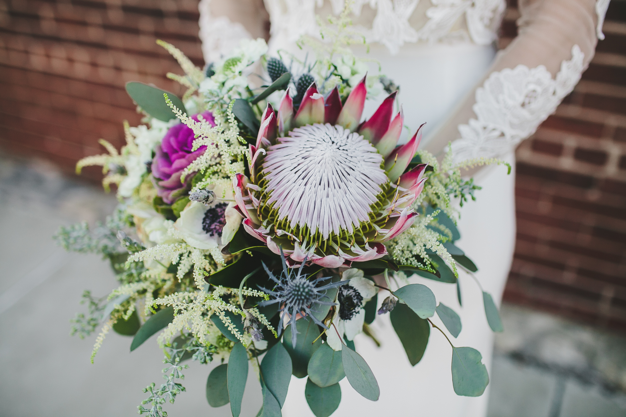 King Protea bride's bouquet // Nashville Wedding Floral Design