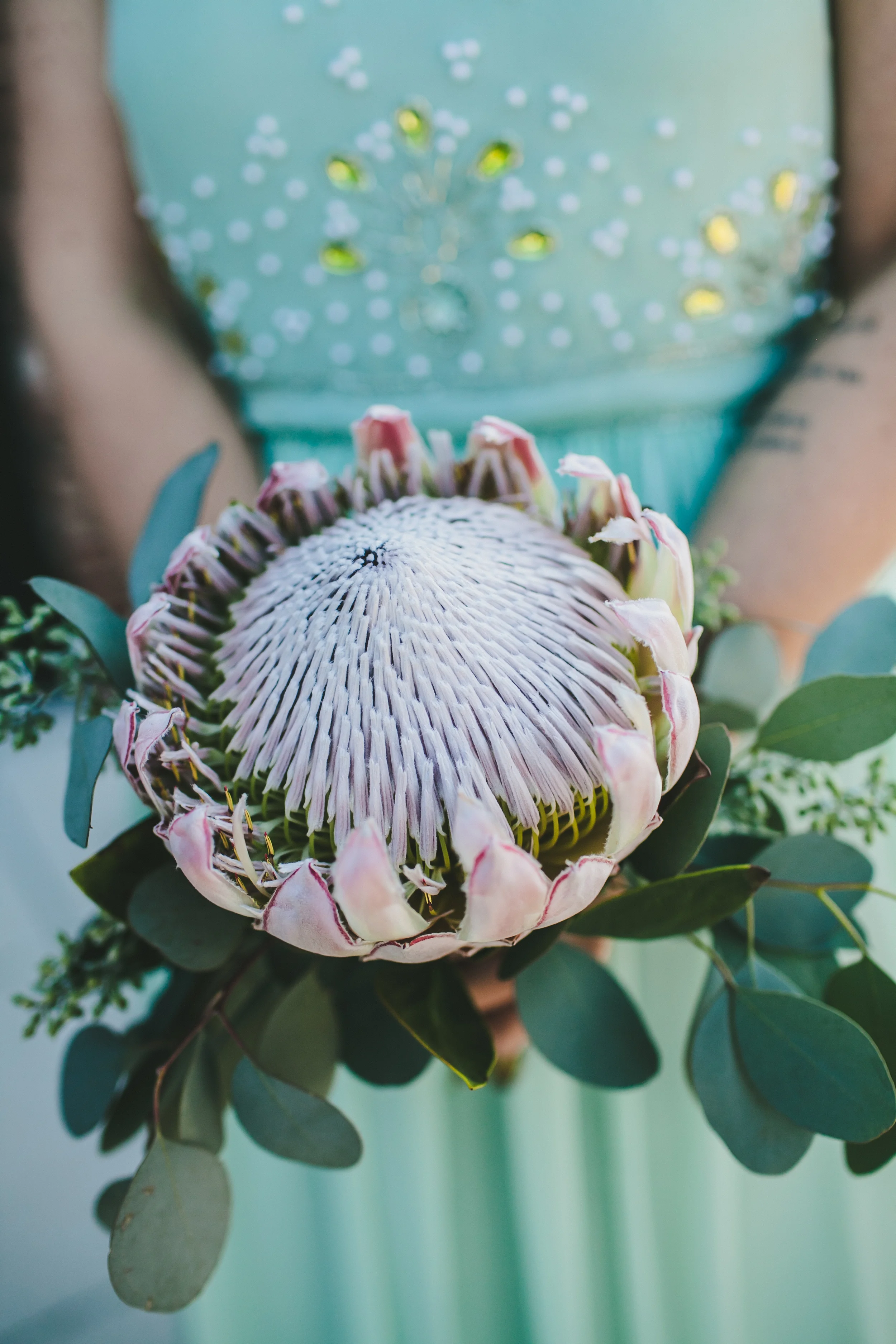 King Protea and Eucalyptus Bridesmaid Bouquet // Nashville Wedding Flowers