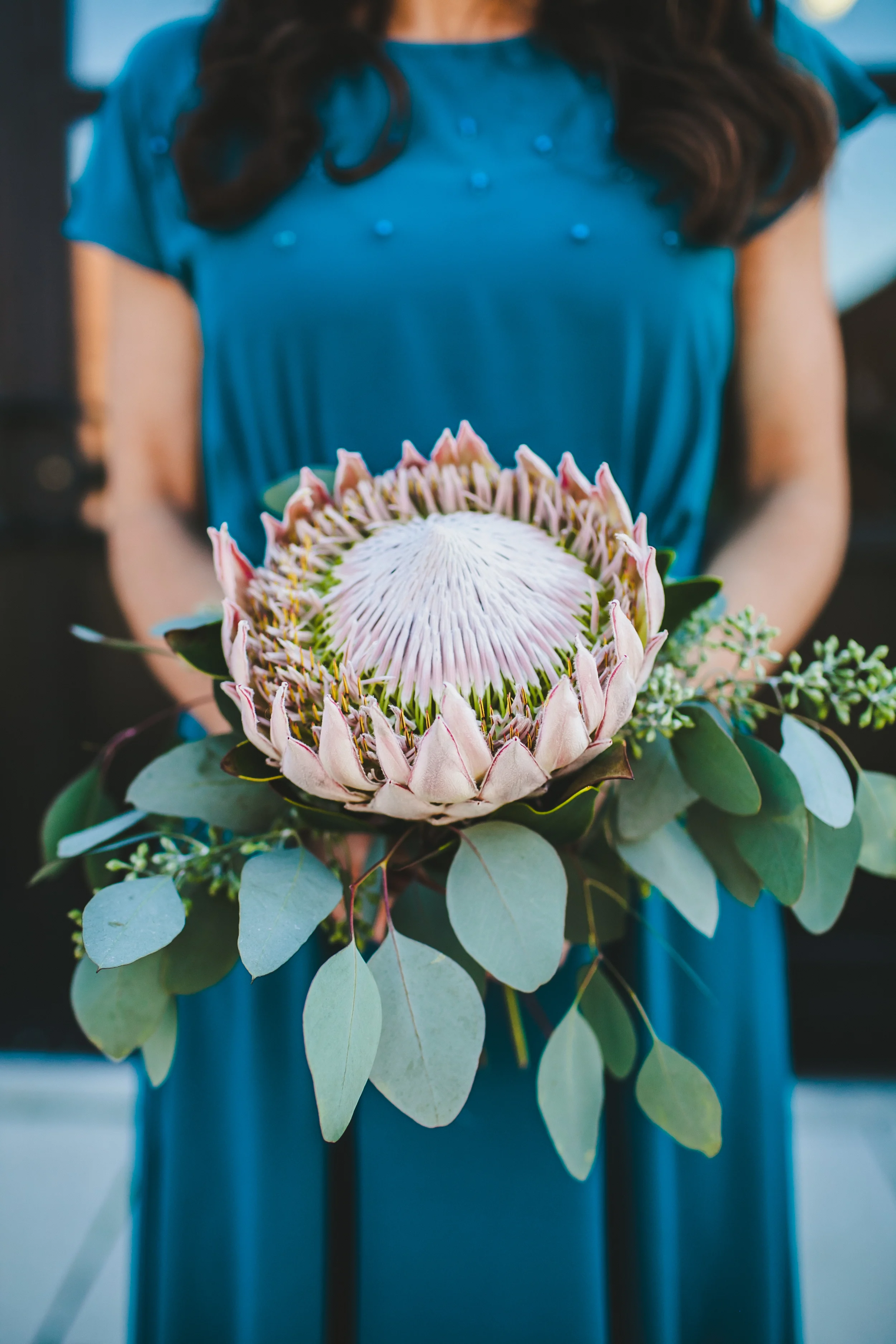 King Protea and Eucalyptus Bridesmaid Bouquet // Nashville Wedding Flowers