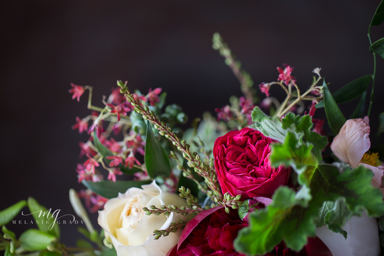 Red piano garden rose, geranium leaves, pieris // Nashville Wedding Floral Design