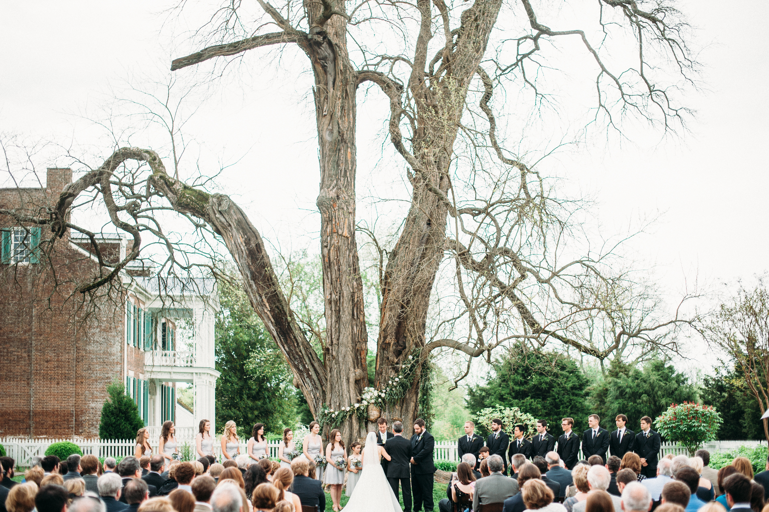 Carnton Wedding under the Osage Orange Tree // Franklin, TN Wedding Flowers