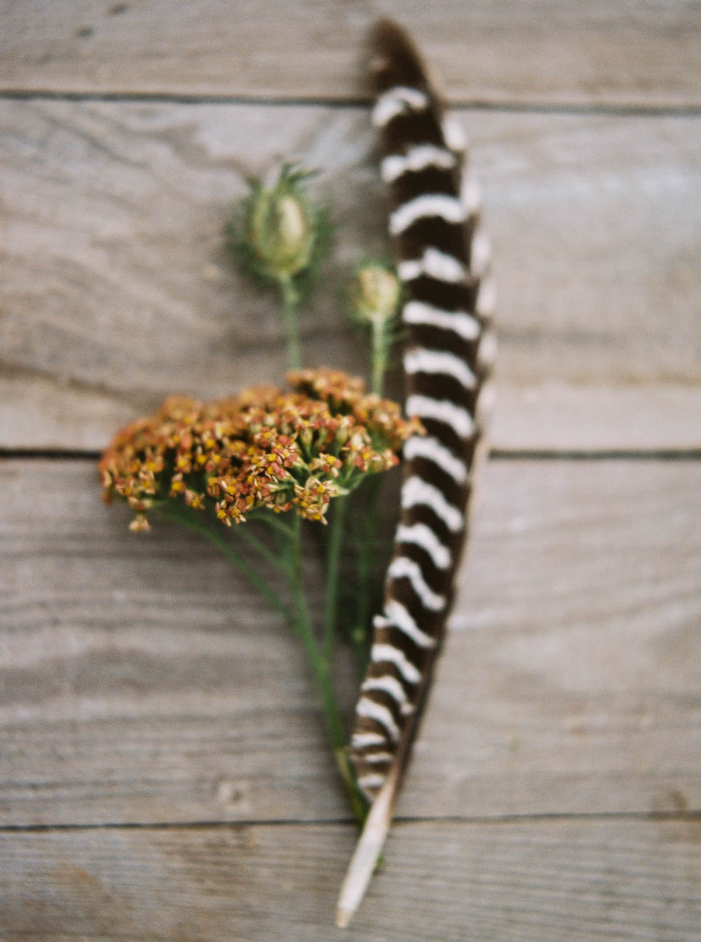 Cottage Yarrow and Pheasant Feather // Nashville Flowers