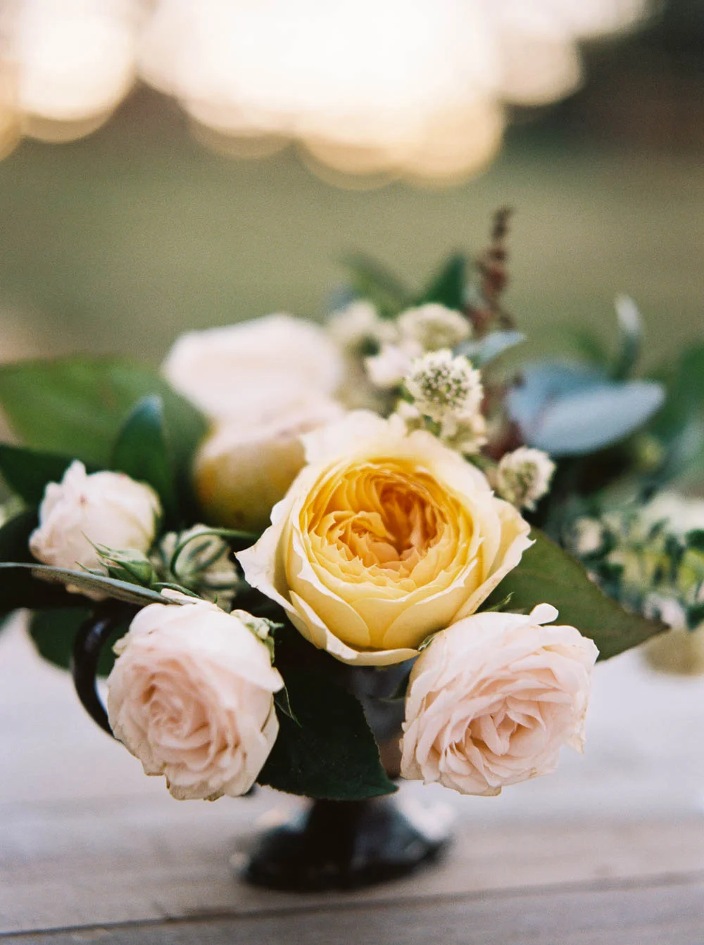 Caramel Antique Garden Rose // Natural Floral Design