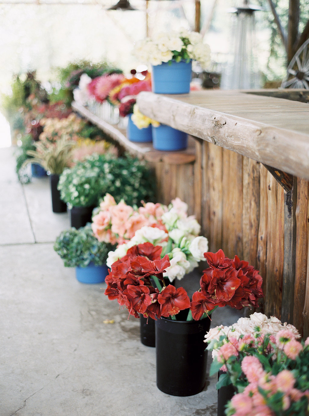 Buckets of Gorgeous Flowers // Montana Flower Workshop