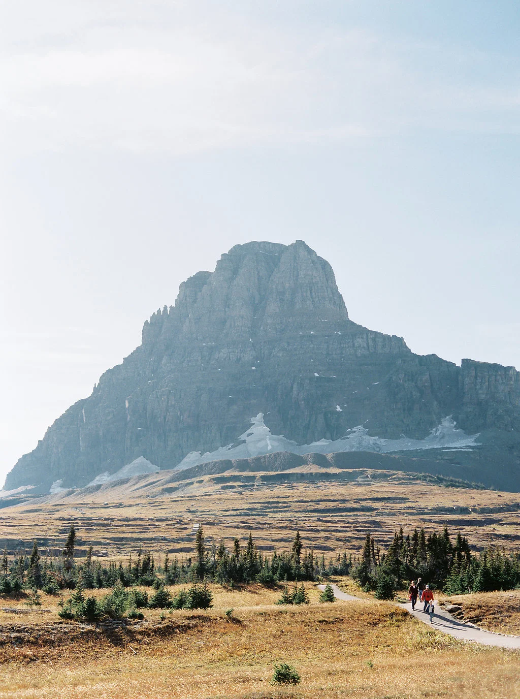 Logan Pass, Glacier National Park