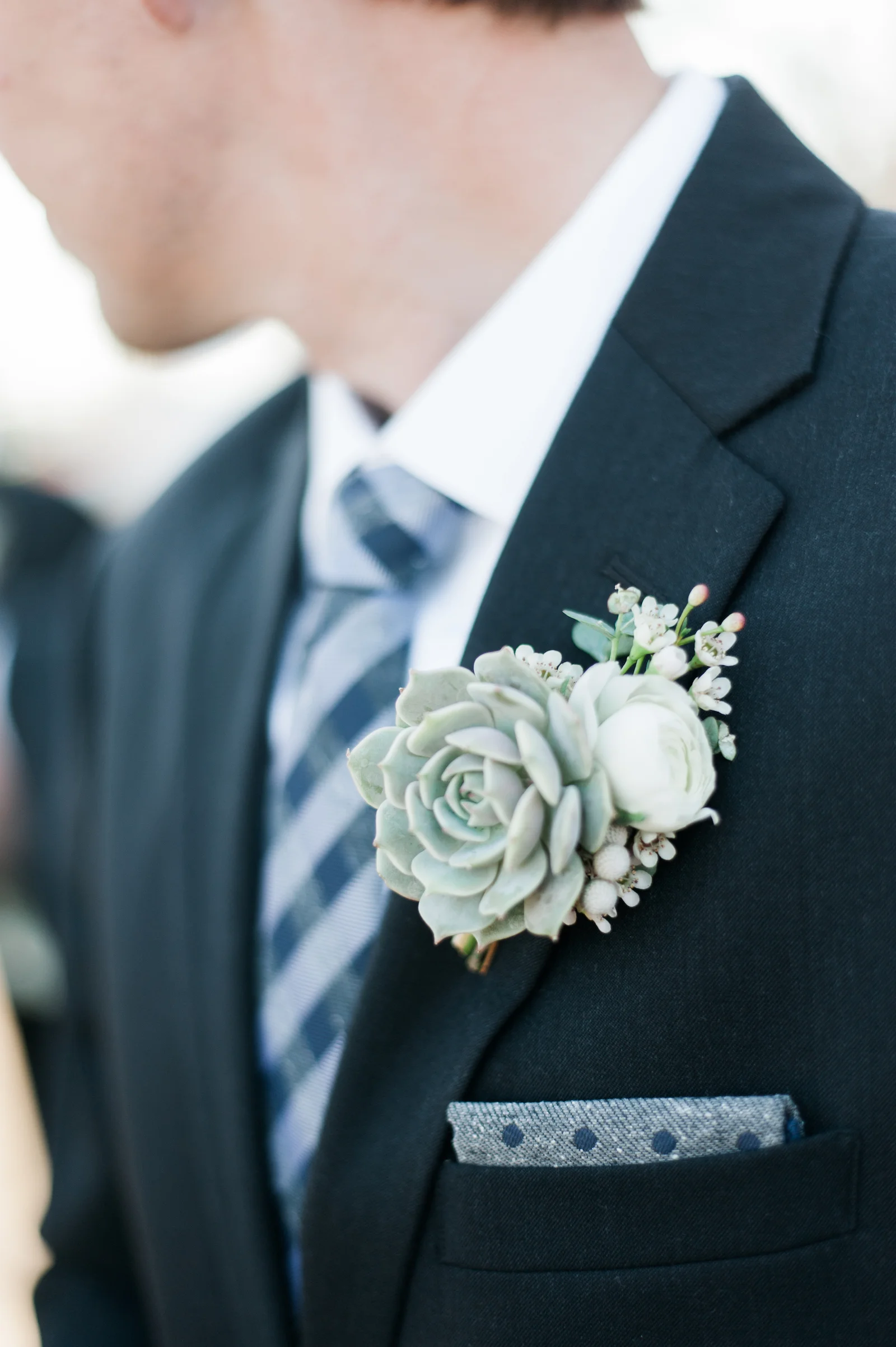 Groom's winter boutonniere with succulent and white ranunculus