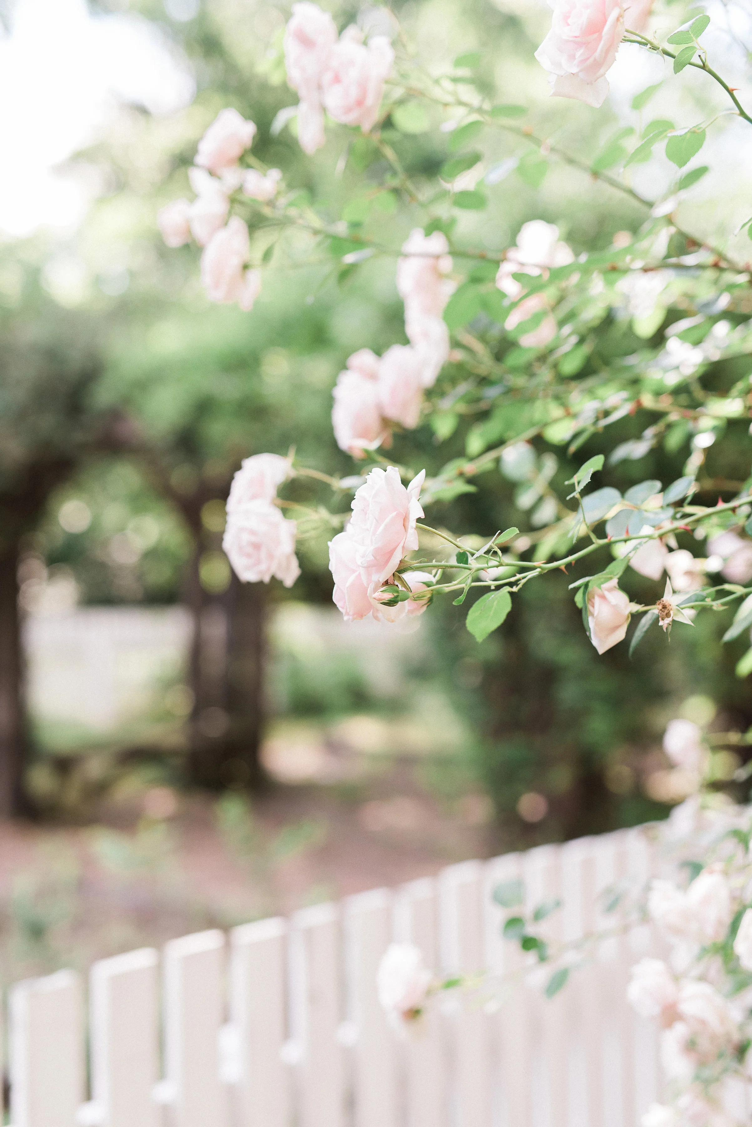 Historic Travellers Rest Wedding in Nashville
