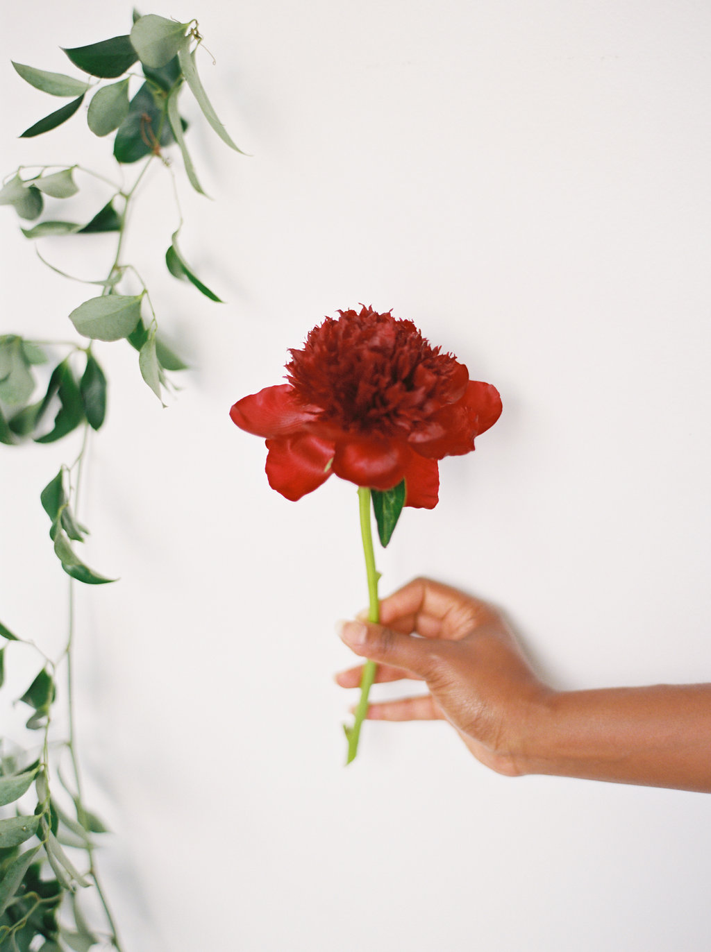 Red Charm Peony // Southeastern Wedding Florist