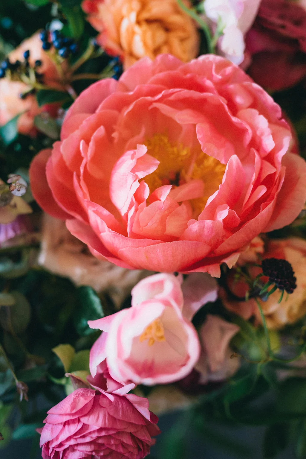 Coral Charm Peony // Nashville Wedding Flowers