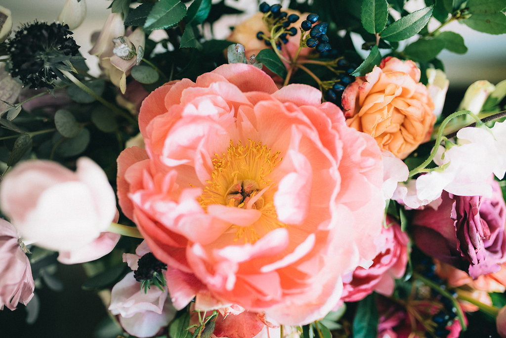 Lush bridal bouquet with coral charm peonies, tulips, ranunculus, and sweet peas // Nashville Wedding Floral Designer