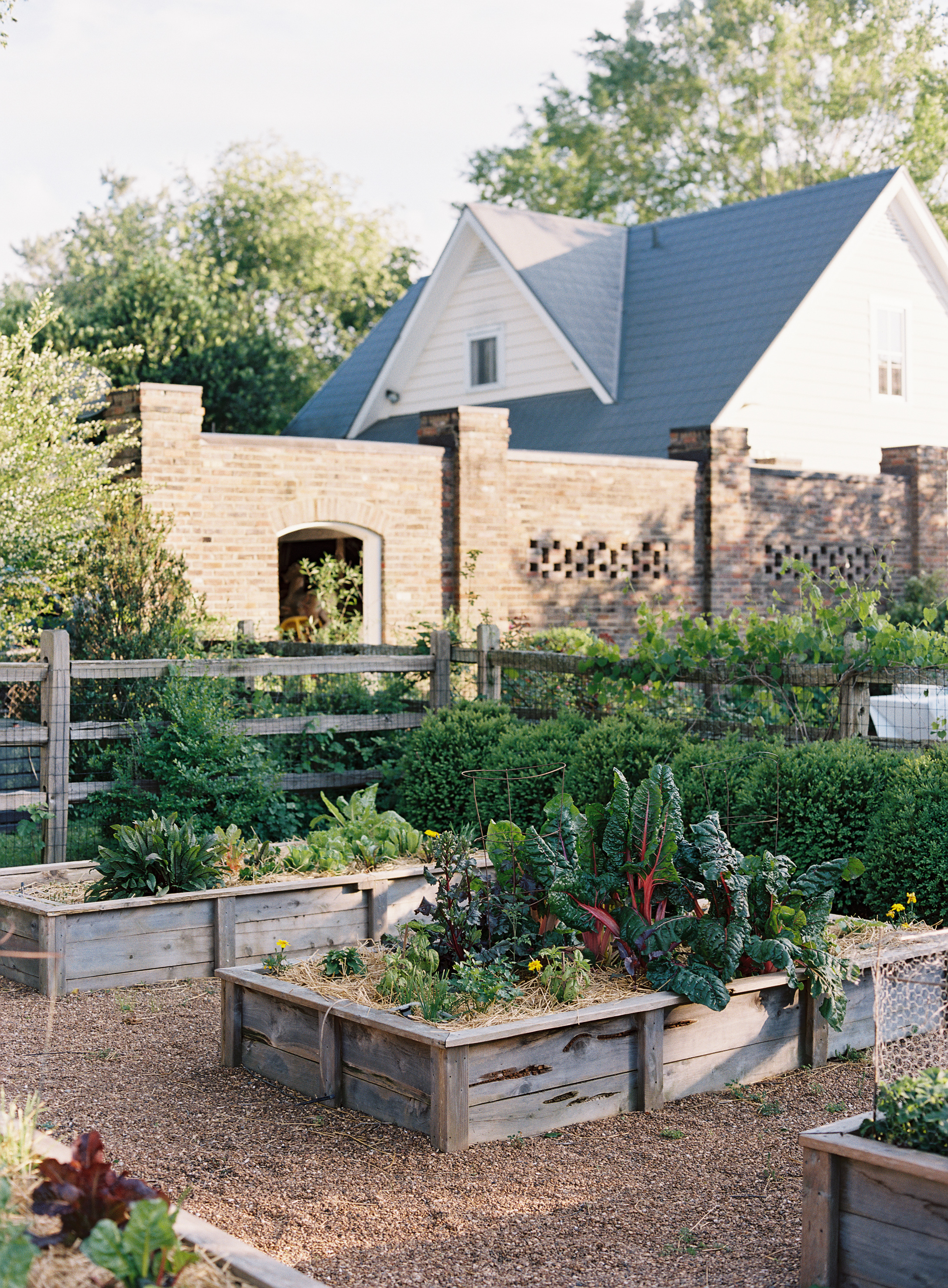 Backyard barn wedding in Franklin, TN  // Nashville Wedding Floral Design
