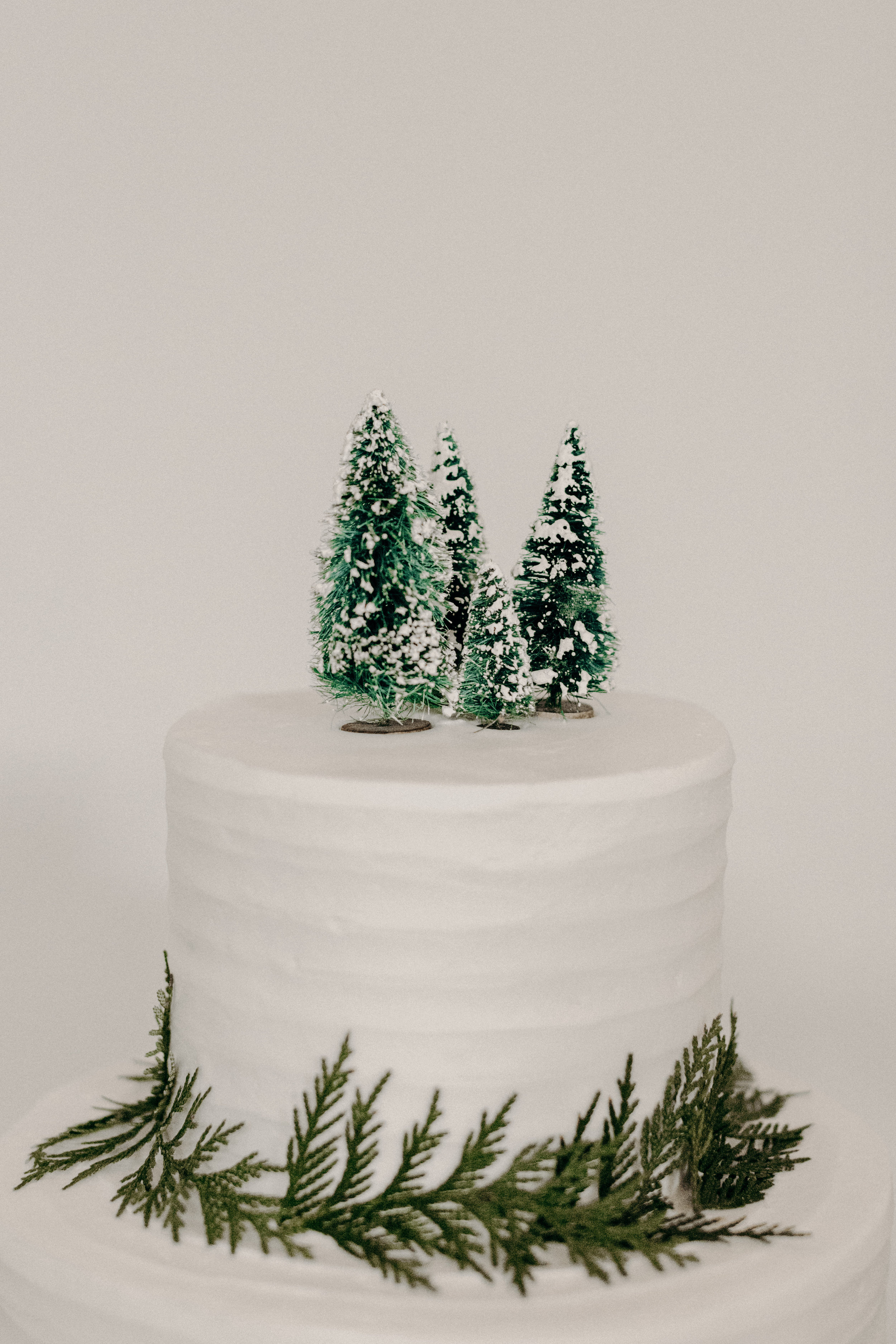 Simple white wedding cake with cedar accents and bottle brush tree topper  // Nashville Wedding Florist