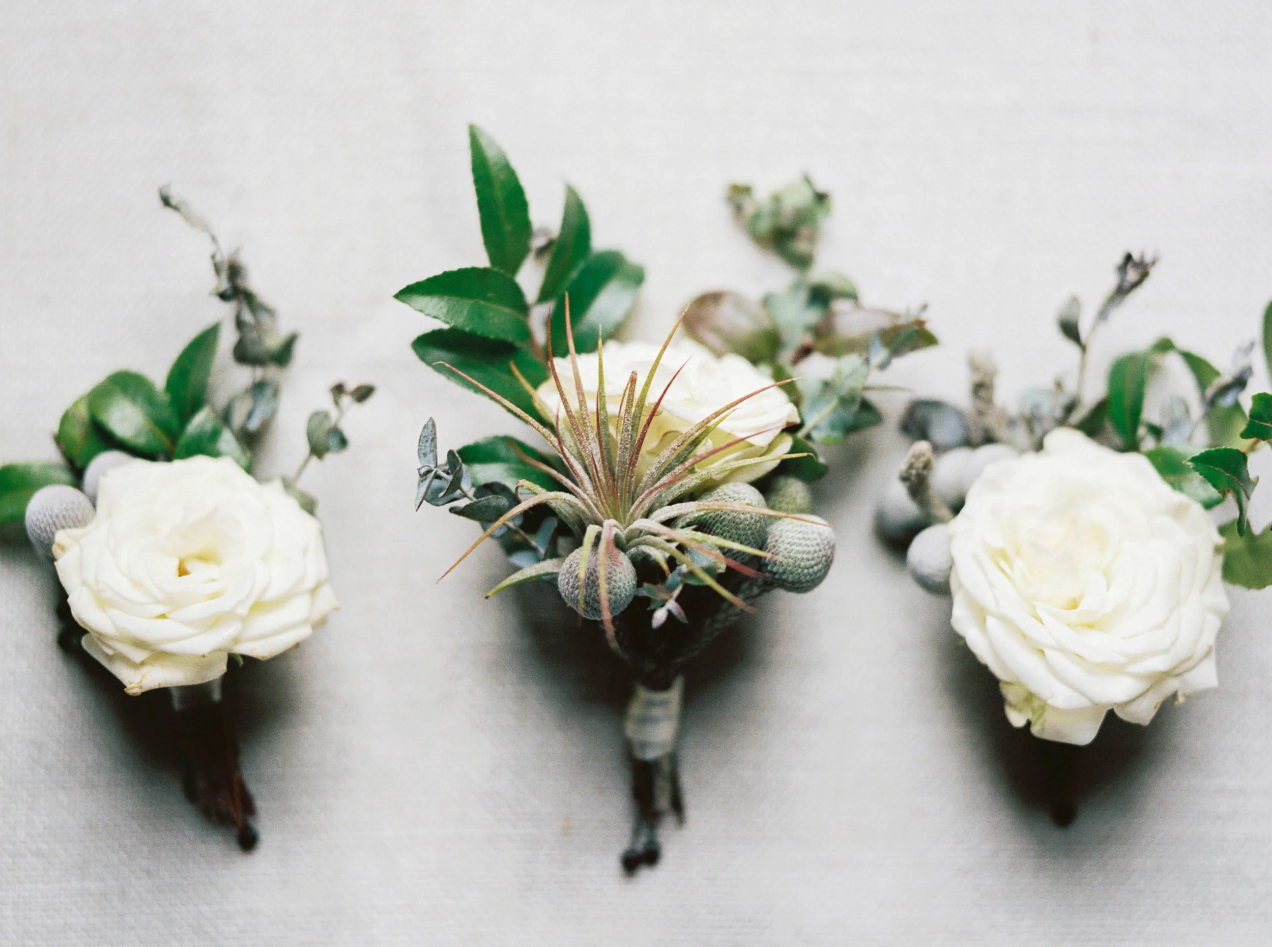 Air plant boutonniere for a fall wedding at the Cordelle // Nashville Wedding Floral Design
