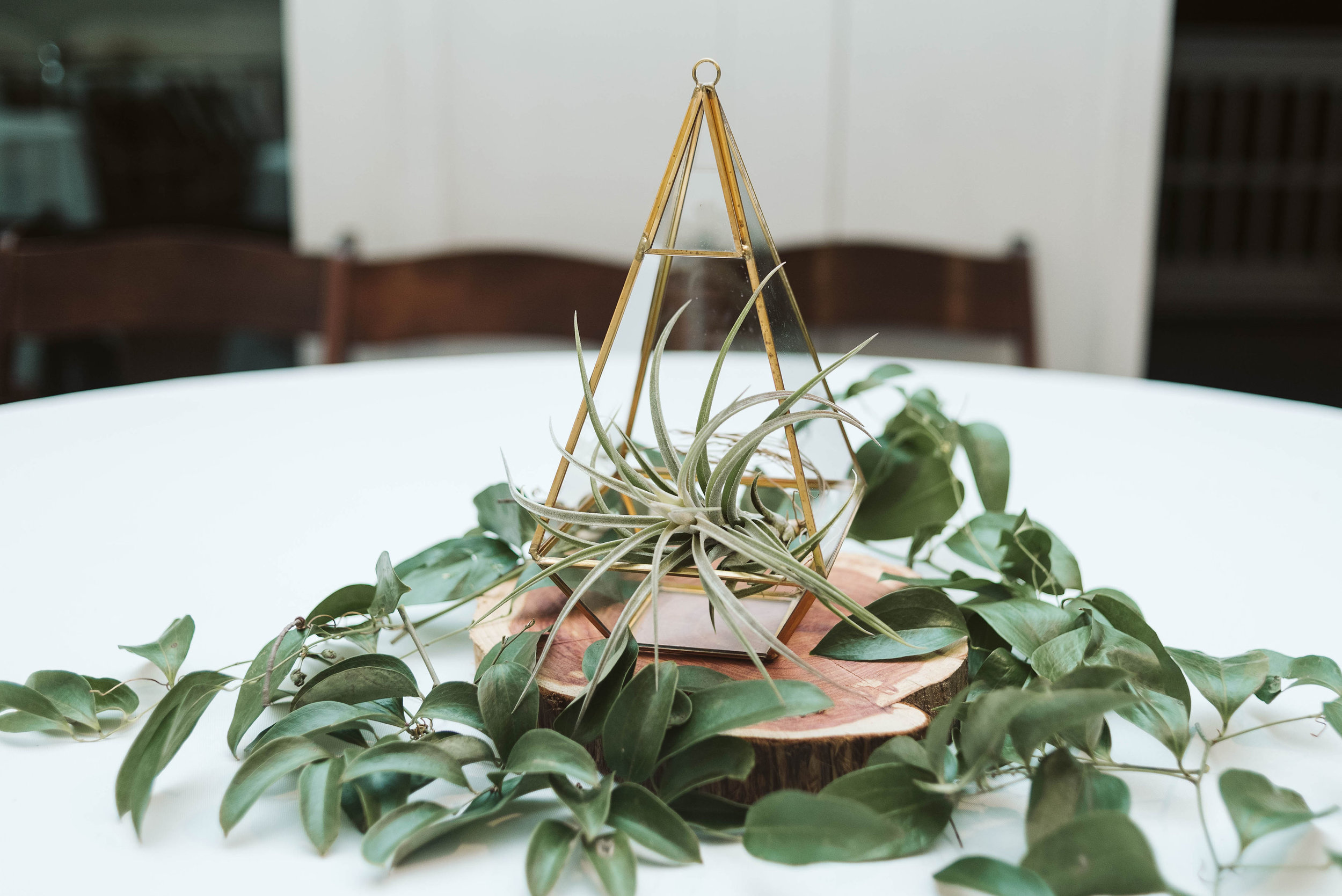 Gold geometric terrarium centerpiece with an air plant and greenery // Nashville, TN Wedding Florist