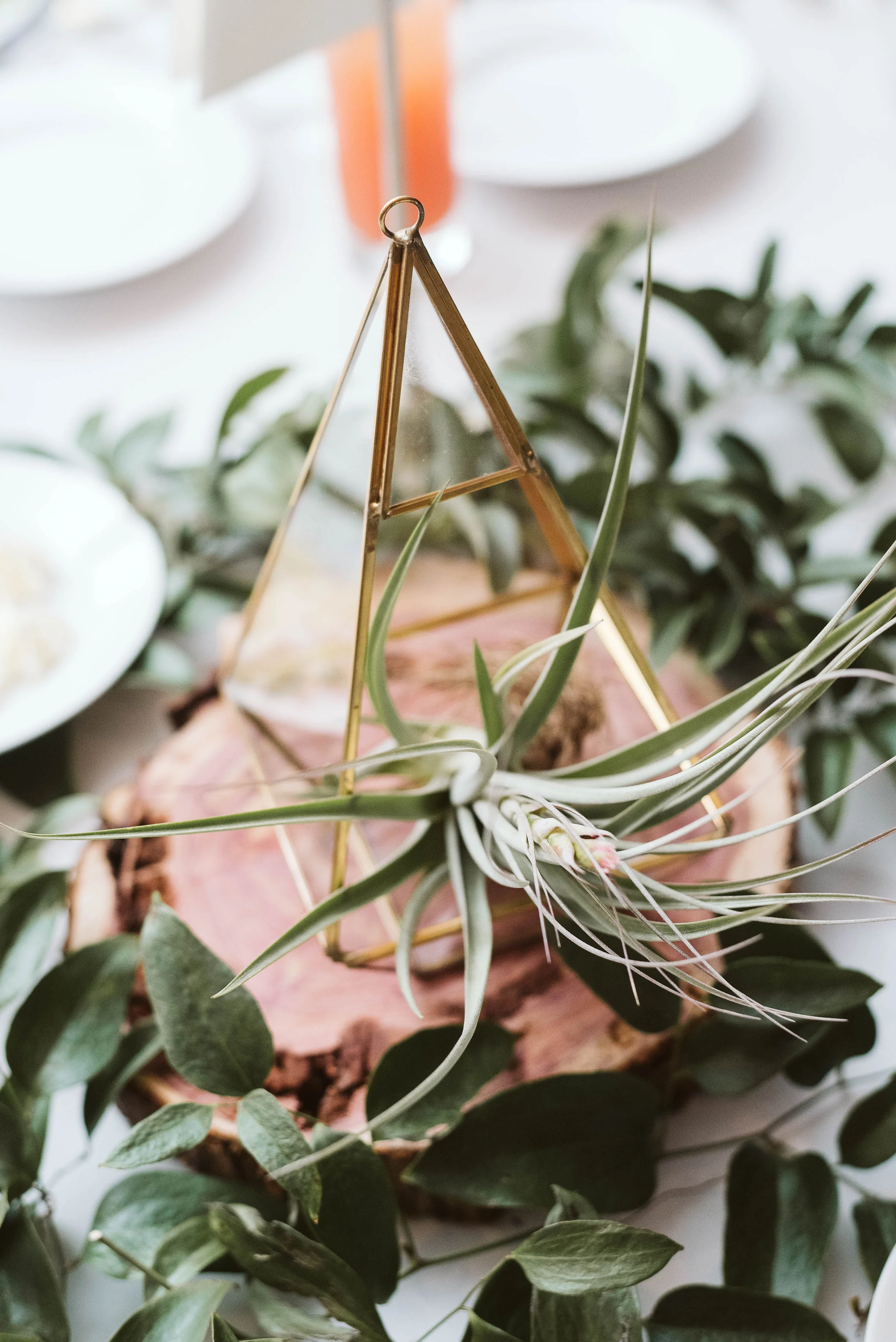 Gold geometric terrarium centerpiece with an air plant and greenery // Nashville, TN Wedding Florist