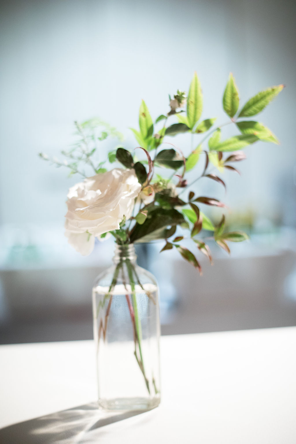 SImple bud vase with a white garden rose and greenery. Nashville Wedding Florist
