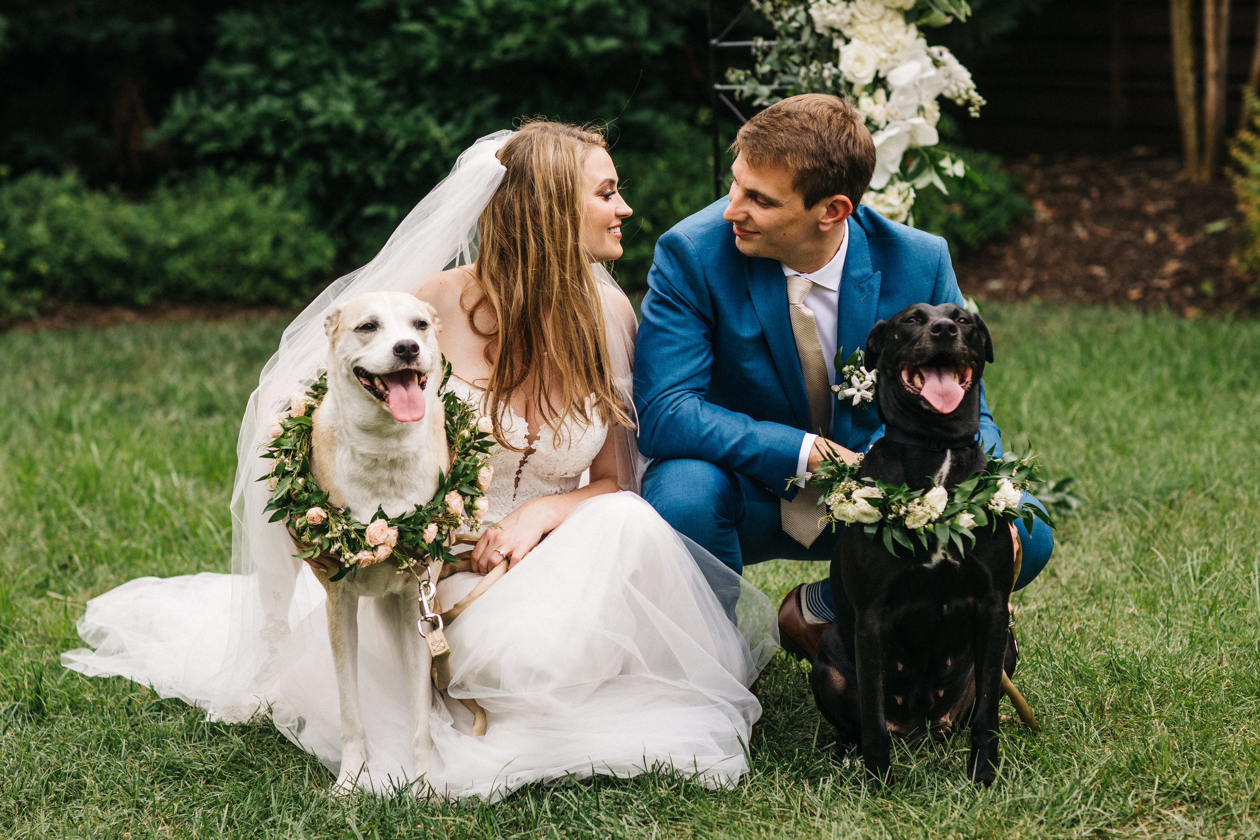Flower dogs with floral collars! Organic, trailing floral design for a Nashville wedding.