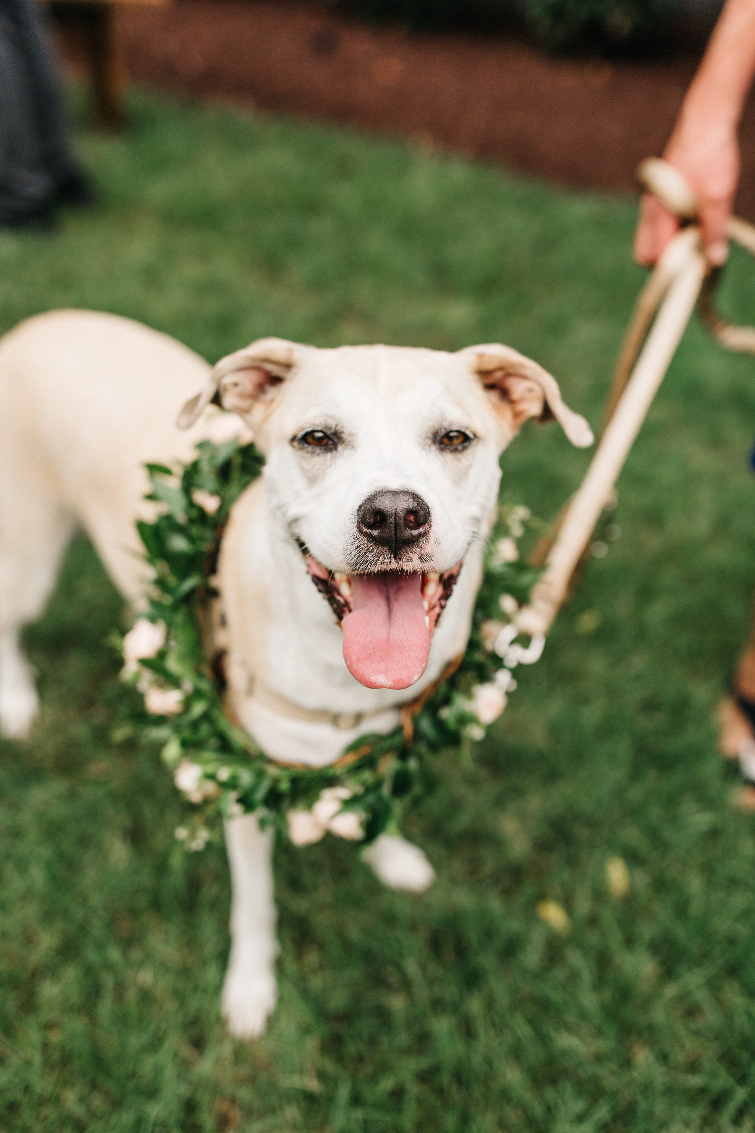 How to include your dog in your wedding: flower wreaths! Nashville Wedding at the Cordelle.