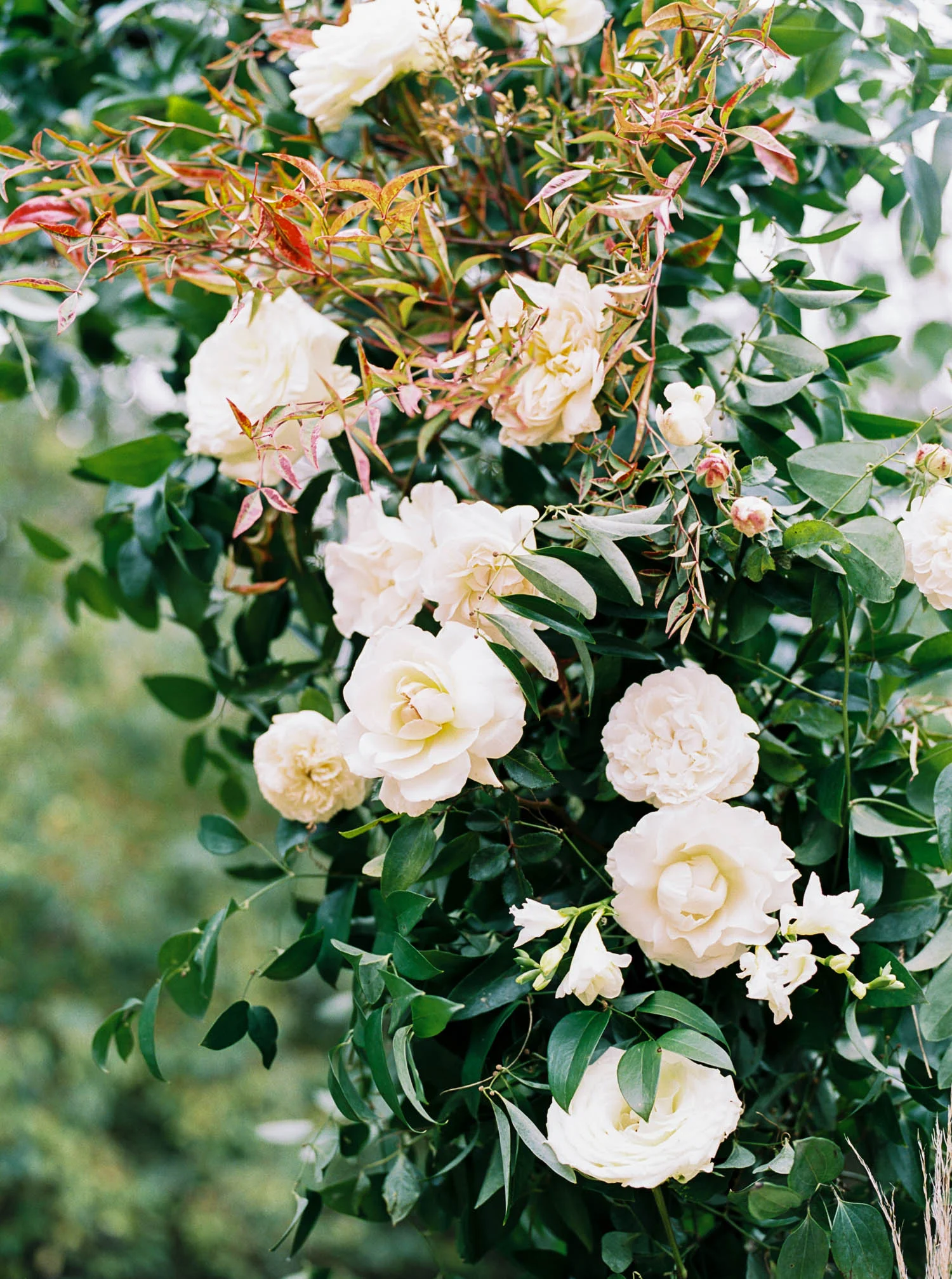 Lush wedding arch with untamed greenery, garden roses, textures, and antlers. Nashville Wedding Florist.