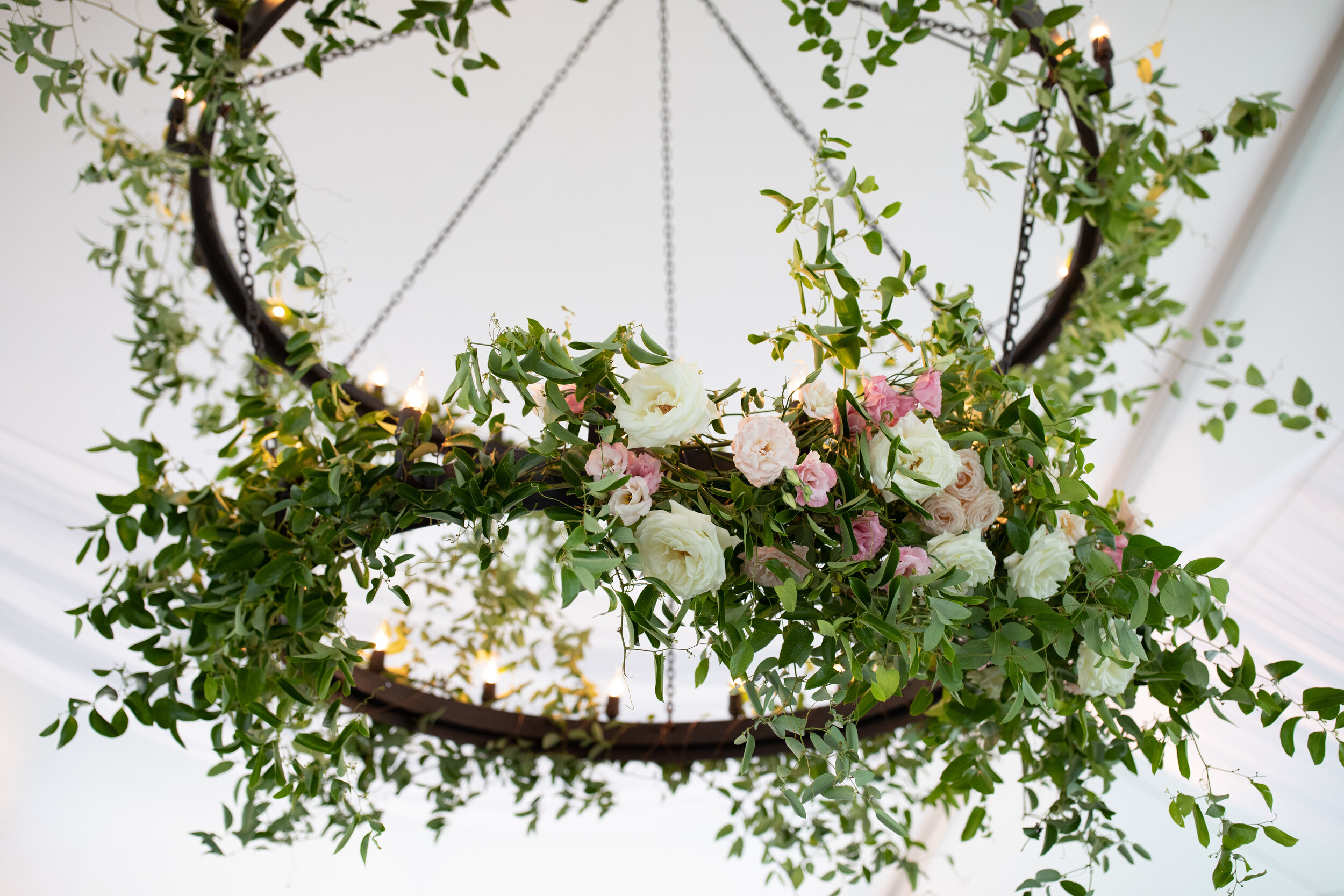 Double chandelier with vines and lush greenery with blush and white flower accents. Nashville luxury wedding and event floral design.