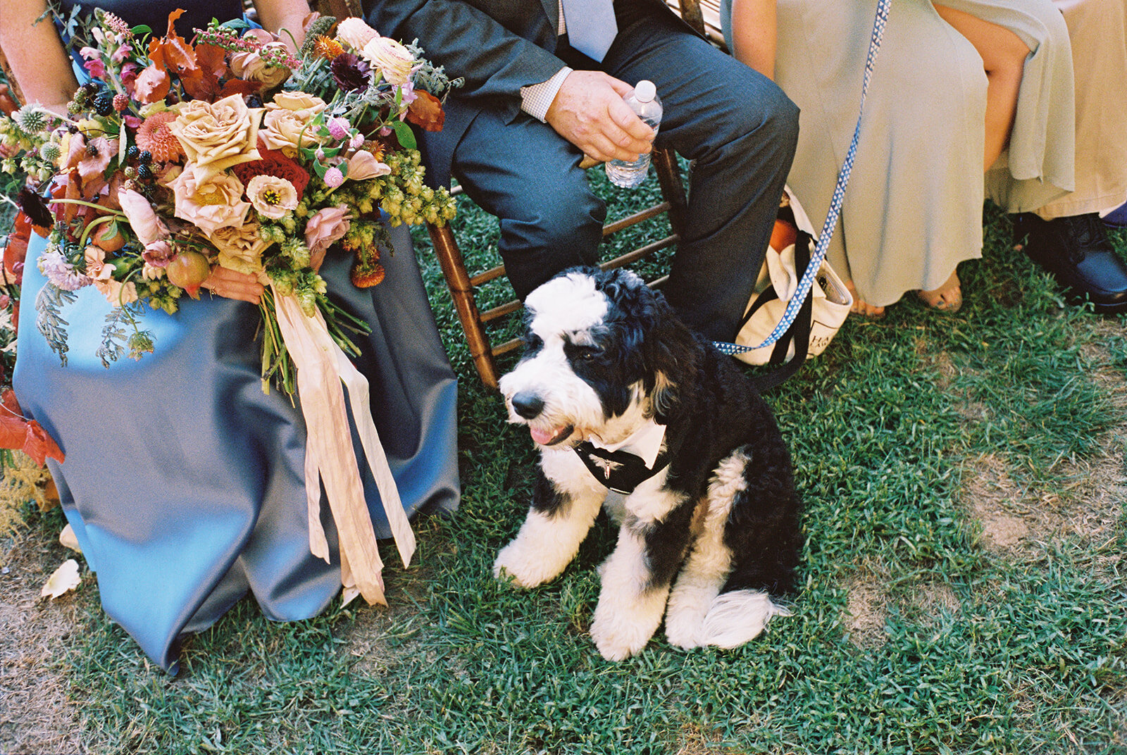 Late summer wildflower-inspired wedding floral design at RT Lodge. Bride's and groom's bernedoodle dog as the ring bearer and star of the show.
