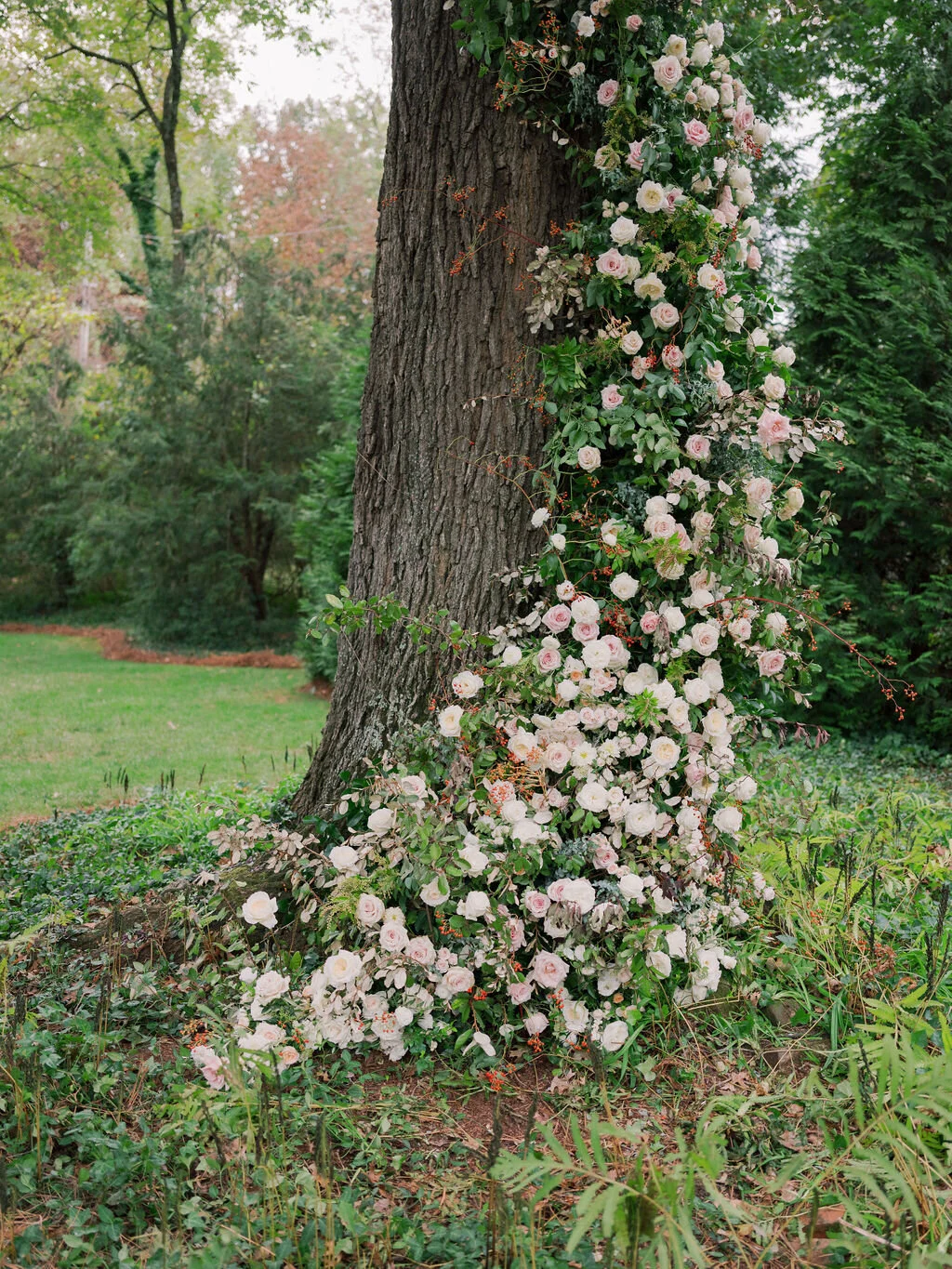 Lush floral installation on an old oak tree with natural vines and greenery with a profusion of white, ivory, and blush garden roses, dahlias, ranunculus, and wildflowers. Belle Meade, Nashville wedding floral design.