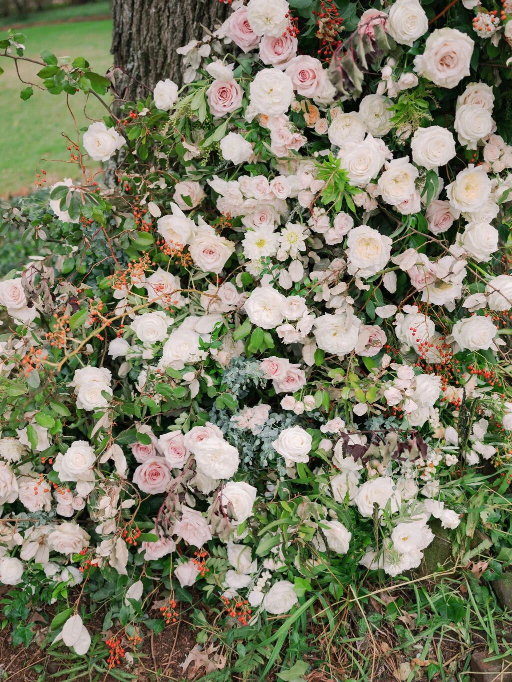 Lush floral installation on an old oak tree with natural vines and greenery with a profusion of white, ivory, and blush garden roses, dahlias, ranunculus, and wildflowers. Belle Meade, Nashville wedding floral design.