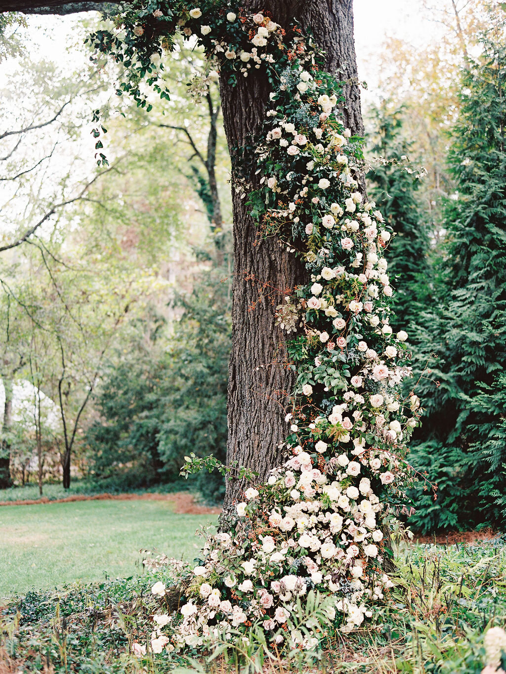 Lush floral installation on an old oak tree with natural vines and greenery with a profusion of white, ivory, and blush garden roses, dahlias, ranunculus, and wildflowers. Belle Meade, Nashville wedding floral design.