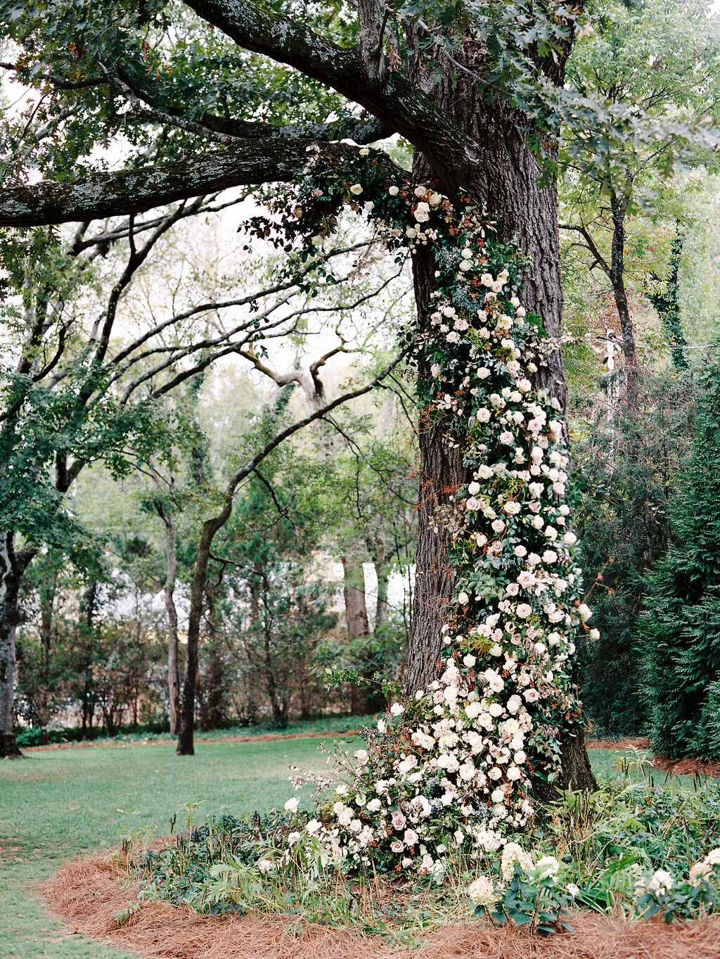 Lush floral installation on an old oak tree with natural vines and greenery with a profusion of white, ivory, and blush garden roses, dahlias, ranunculus, and wildflowers. Belle Meade, Nashville wedding floral design.