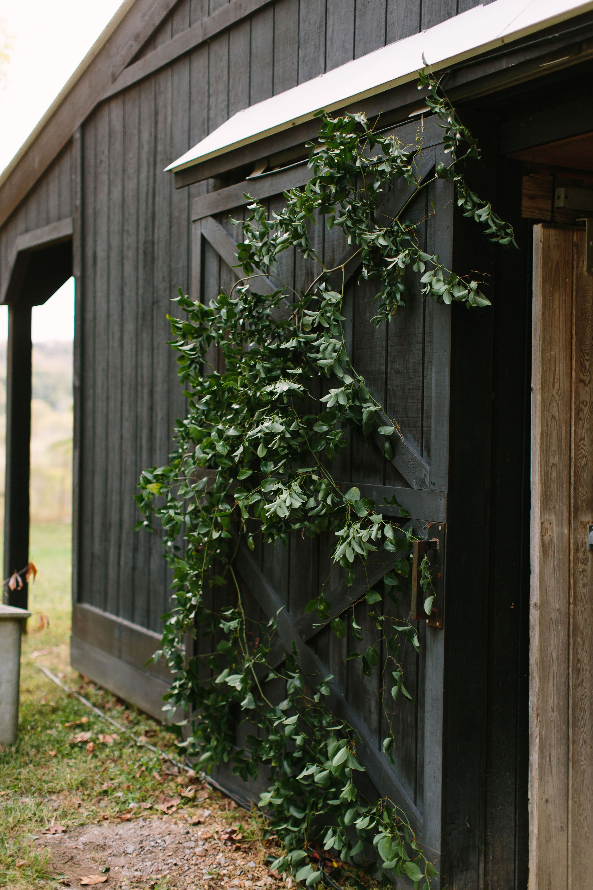 Tennessee countryside October wedding at Bloomsbury Farm with all white and greenery floral design. Nashville wedding florist.