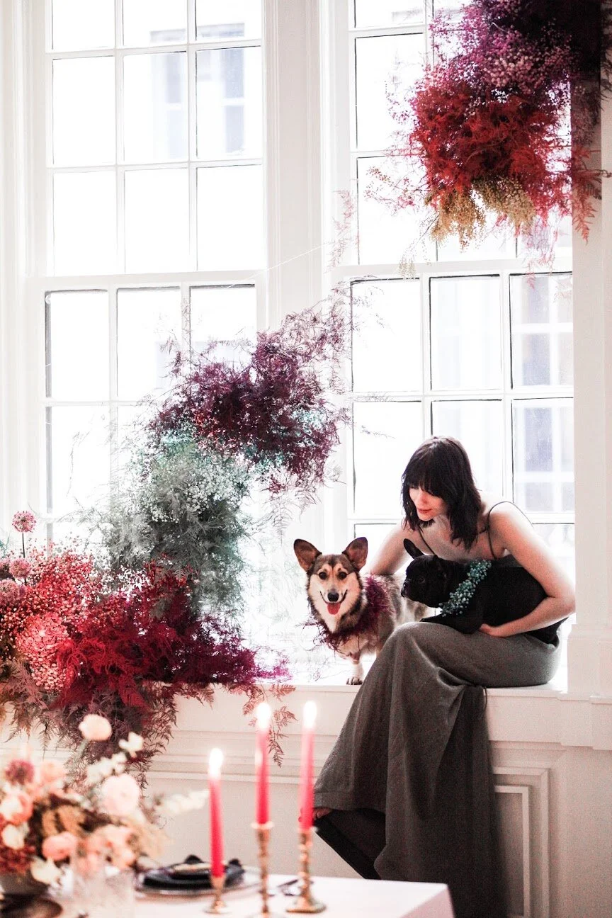 Rainbow colored floral installation with painted and dyed baby’s breath and plums ferns. Modern, minimal, colorful wedding flowers at the Noelle Hotel in downtown Nashville. Dyed floral dog collars made of ferns and baby's breath.