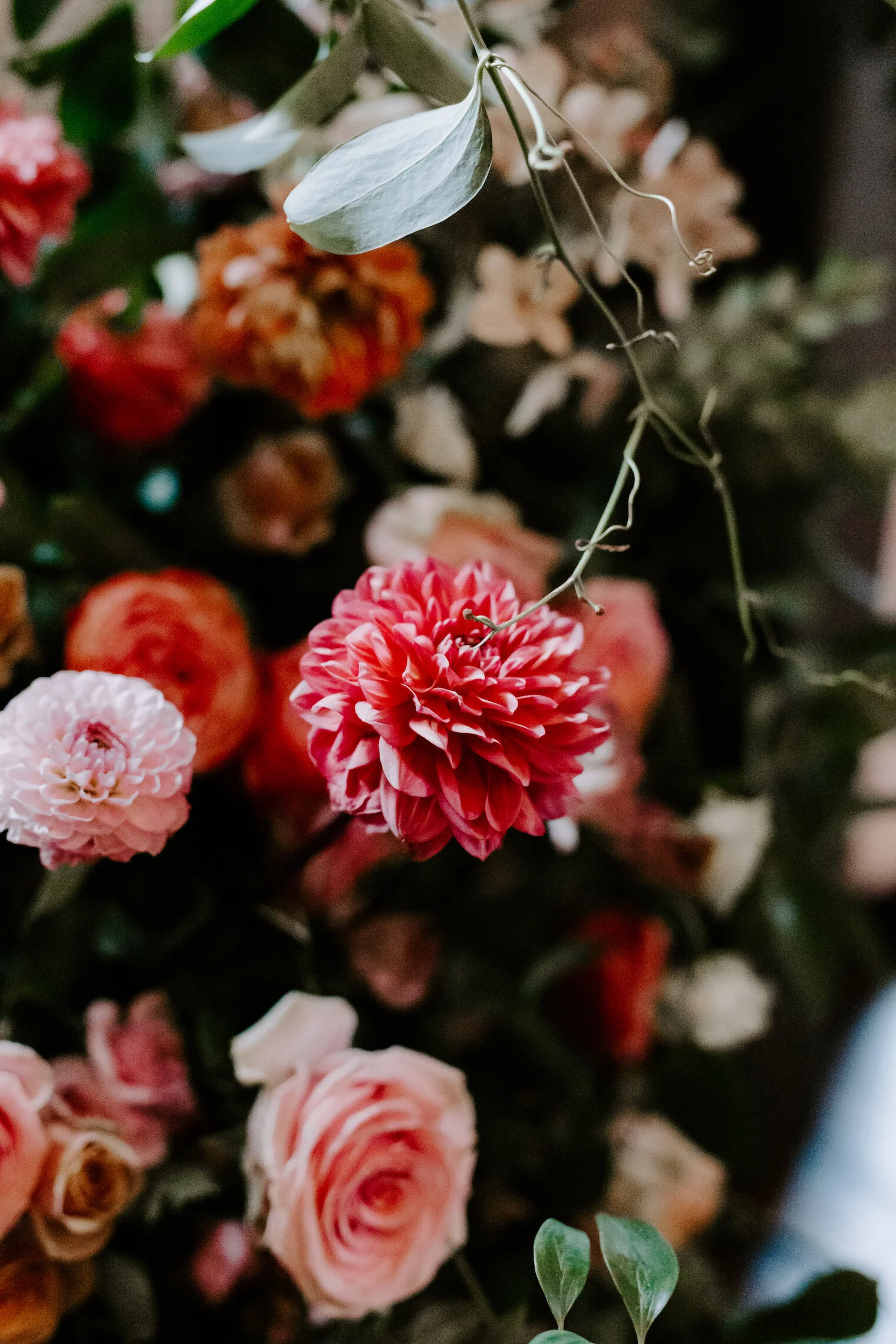This wedding featured a stunning ceremony arch and a moss and floral wall installation. Blooms used were coral zinnias, fuchsia and blush dahlias, tangerine ranunculus, petal-heavy roses, pink snowberry, and sprawling smilax vine. Designed by Nashvi…
