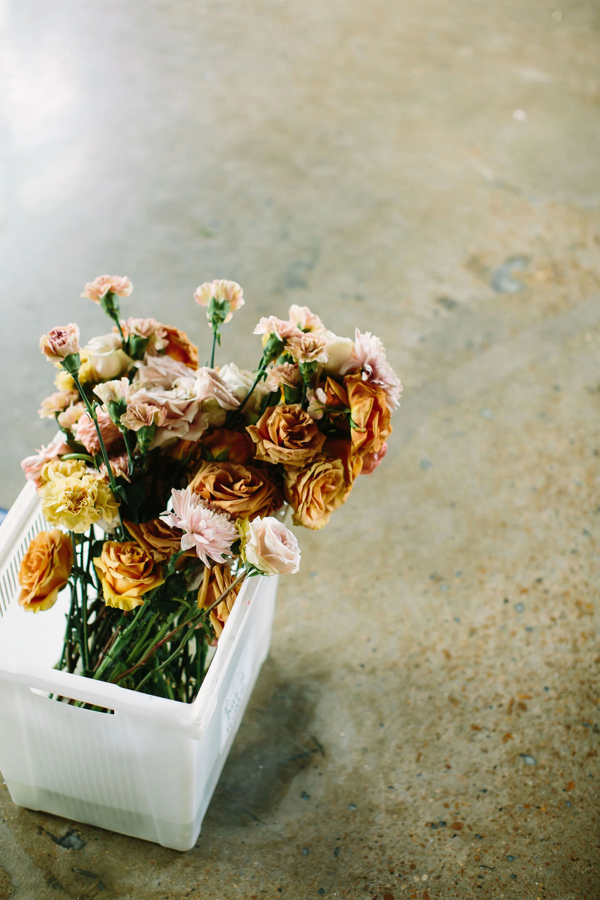 An intimate installation intensive at The Saint Elle in Nashville. Students learned how to create and build 3 different kinds of installations over the course of the day. Hosted and designed by floral designer Rosemary & Finch.