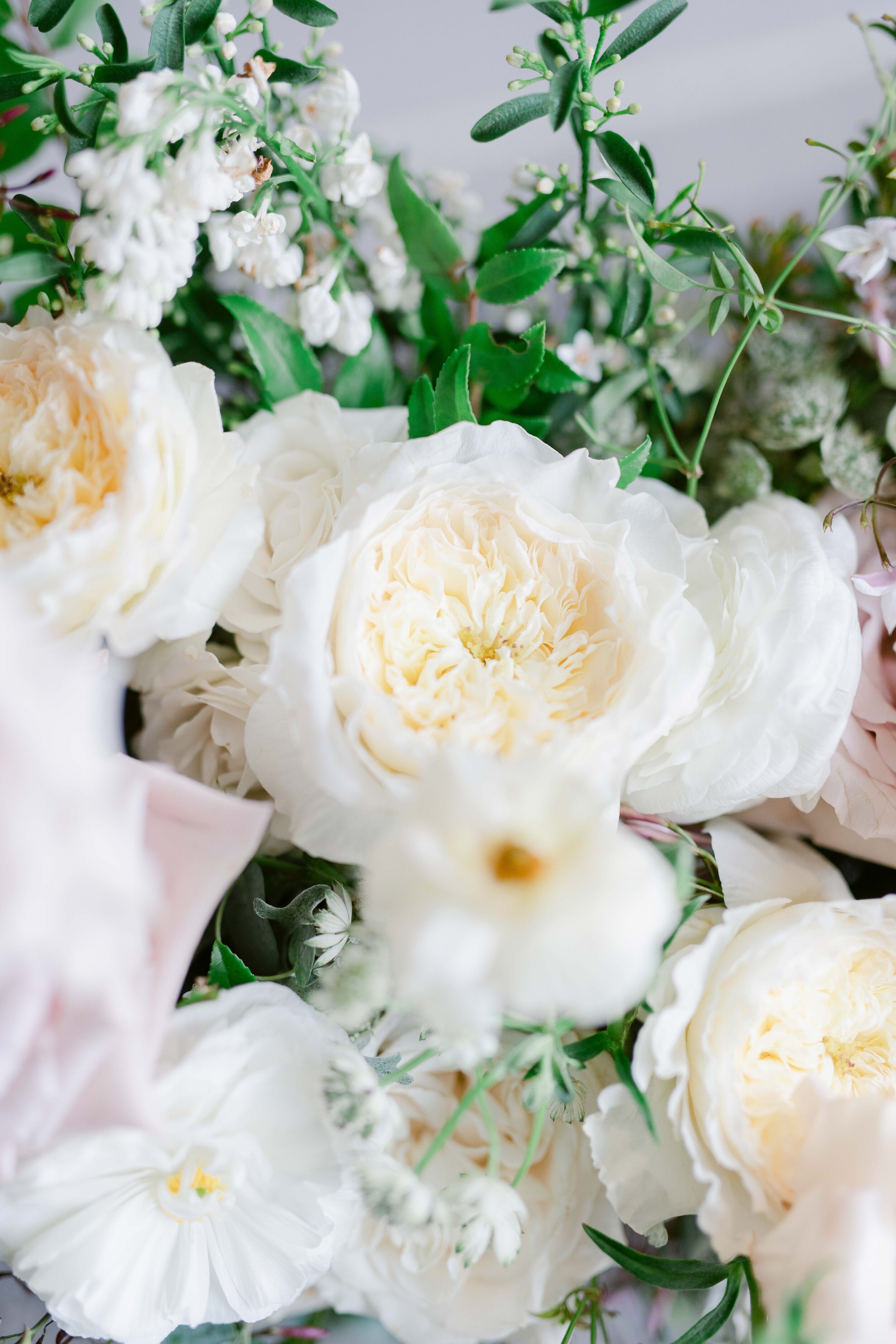 Champagne roses, cream garden roses, trailing jasmine, fluffy ranunculus, quicksand roses, majolica spray roses, and sage eucalyptus make up this gorgeous bridal bouquet. Designed by florist Rosemary & Finch in Nashville, TN.
