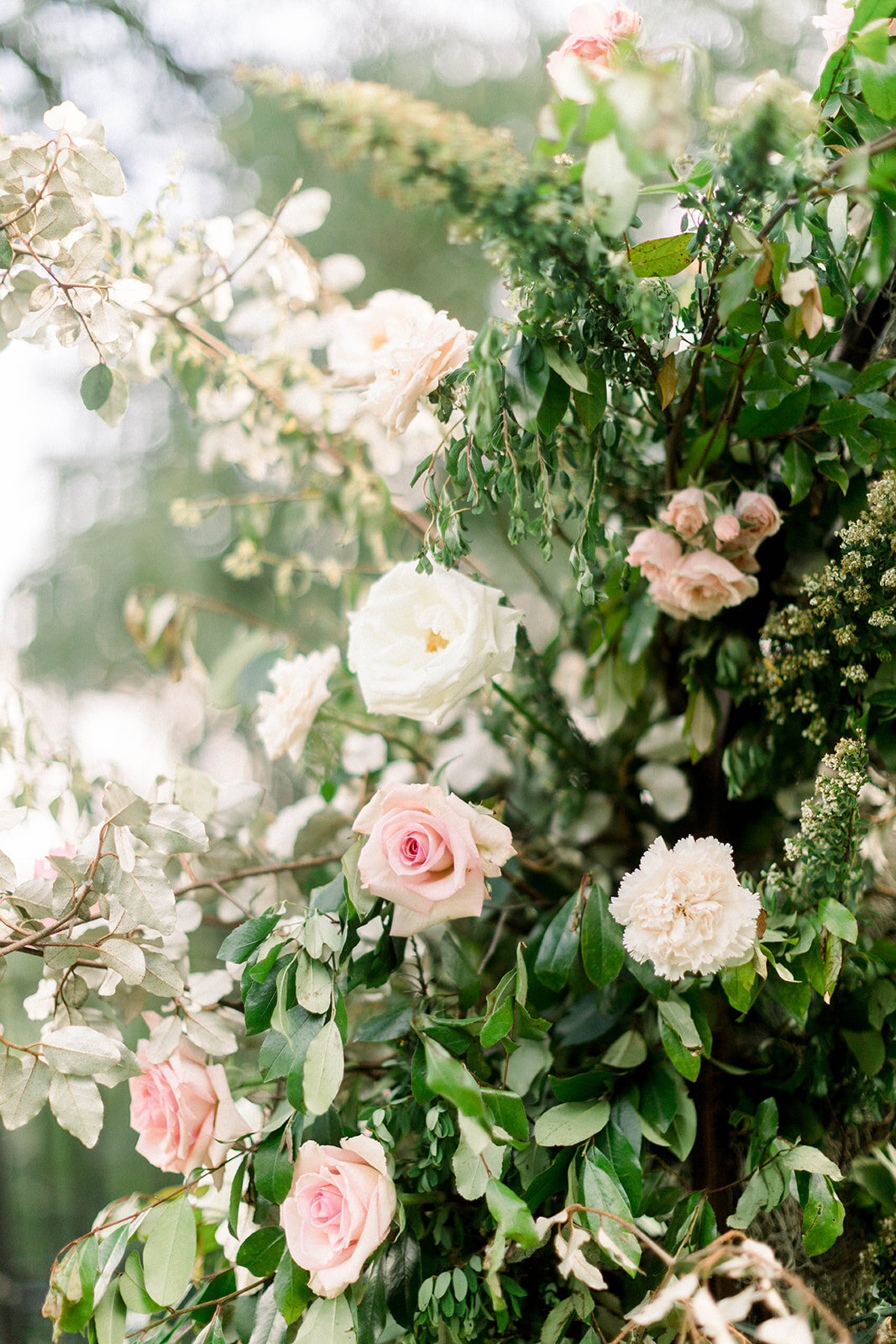 A fairytail arch filled with blush and ivory garden roses, majolica spray roses, champagne roses, eleagnus, and lush sprawling greenery. Designed by Rosemary & Finch in Nashville, TN.
