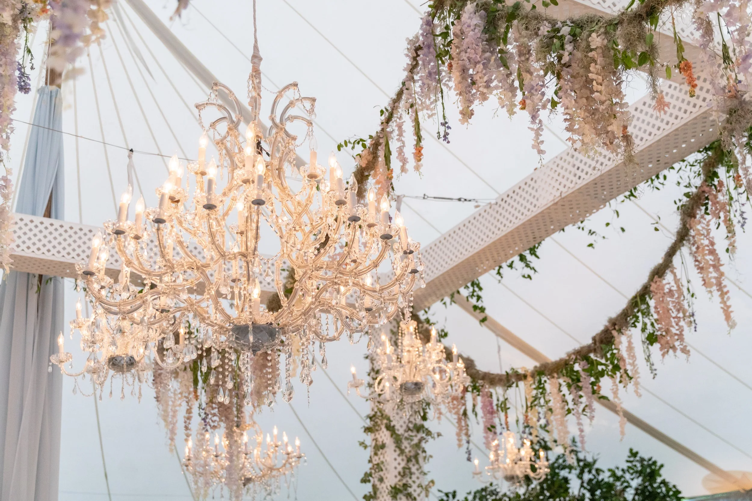 Growing, fresh floral installations and chandeliers with blush garden roses, lavender delphinium, wisteria, globe allium, and vines and greenery for a tented Bridgerton inspired engagement party at a private home in Nashville, TN.
