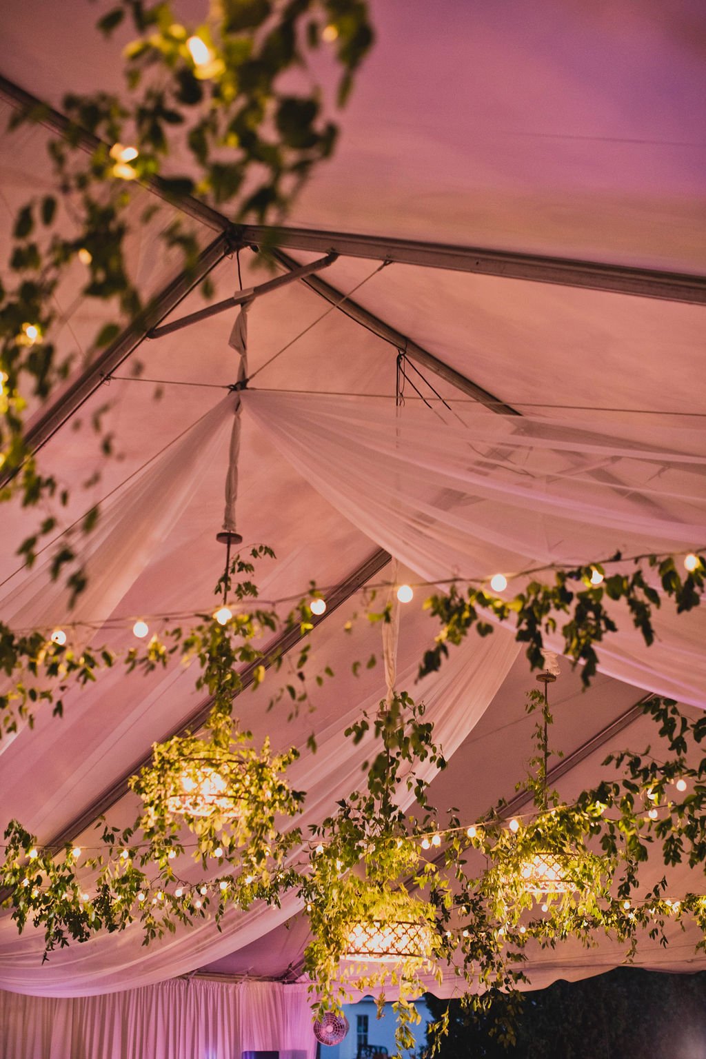 Gorgeous installations of smilax grew over the entrance to the tent, on the chandeliers, and all throughout the reception creating a warm, natural atmosphere. Designed by Rosemary and Finch in Nashville, TN.