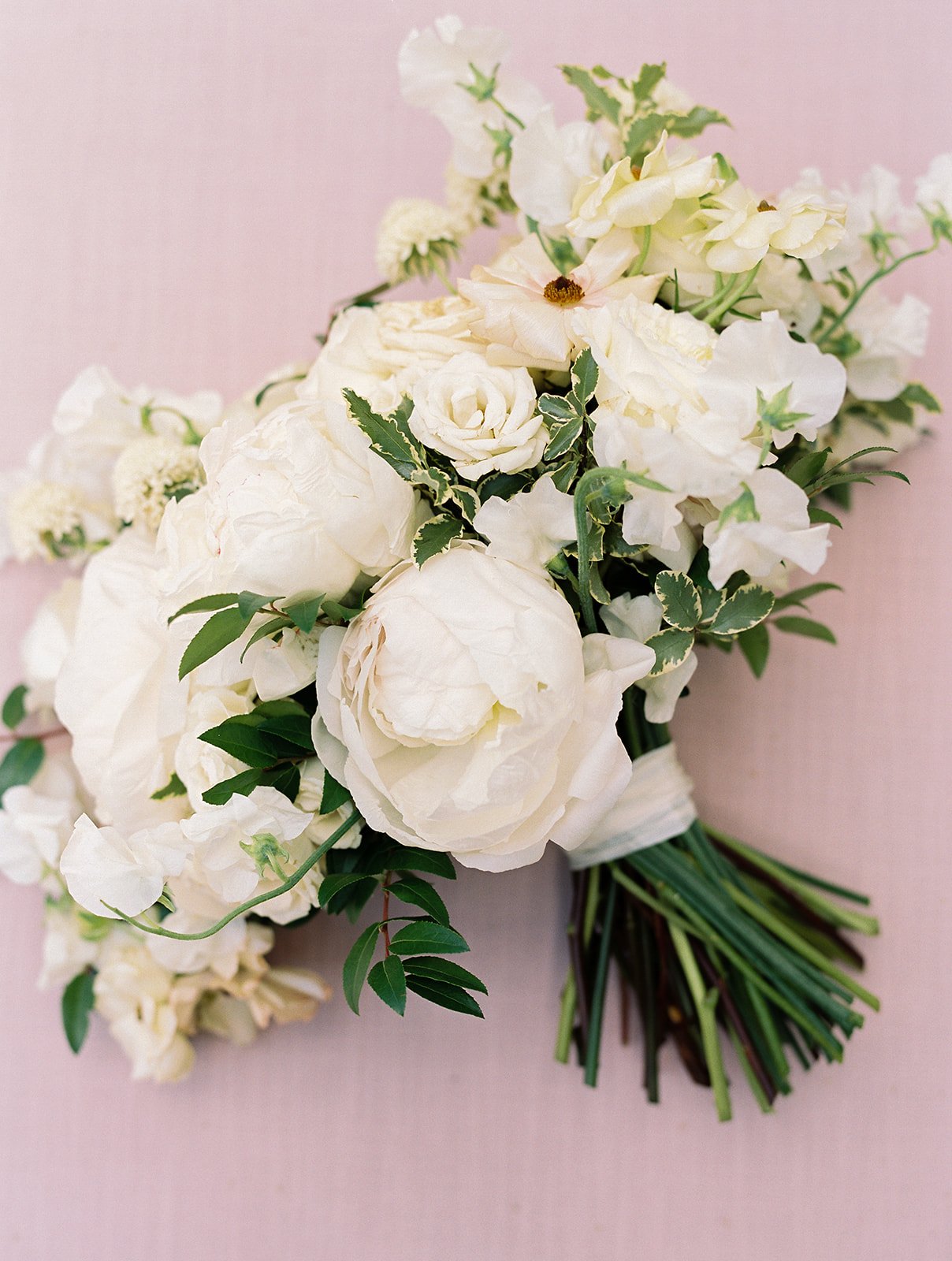 Bridal bouquet of white garden roses, peonies, ranunculus, sweet peas, scabiosa, butterfly ranunculus and dark greenery in floral hues of white, cream, and blush. Designed by Rosemary and Finch in Nashville, TN.