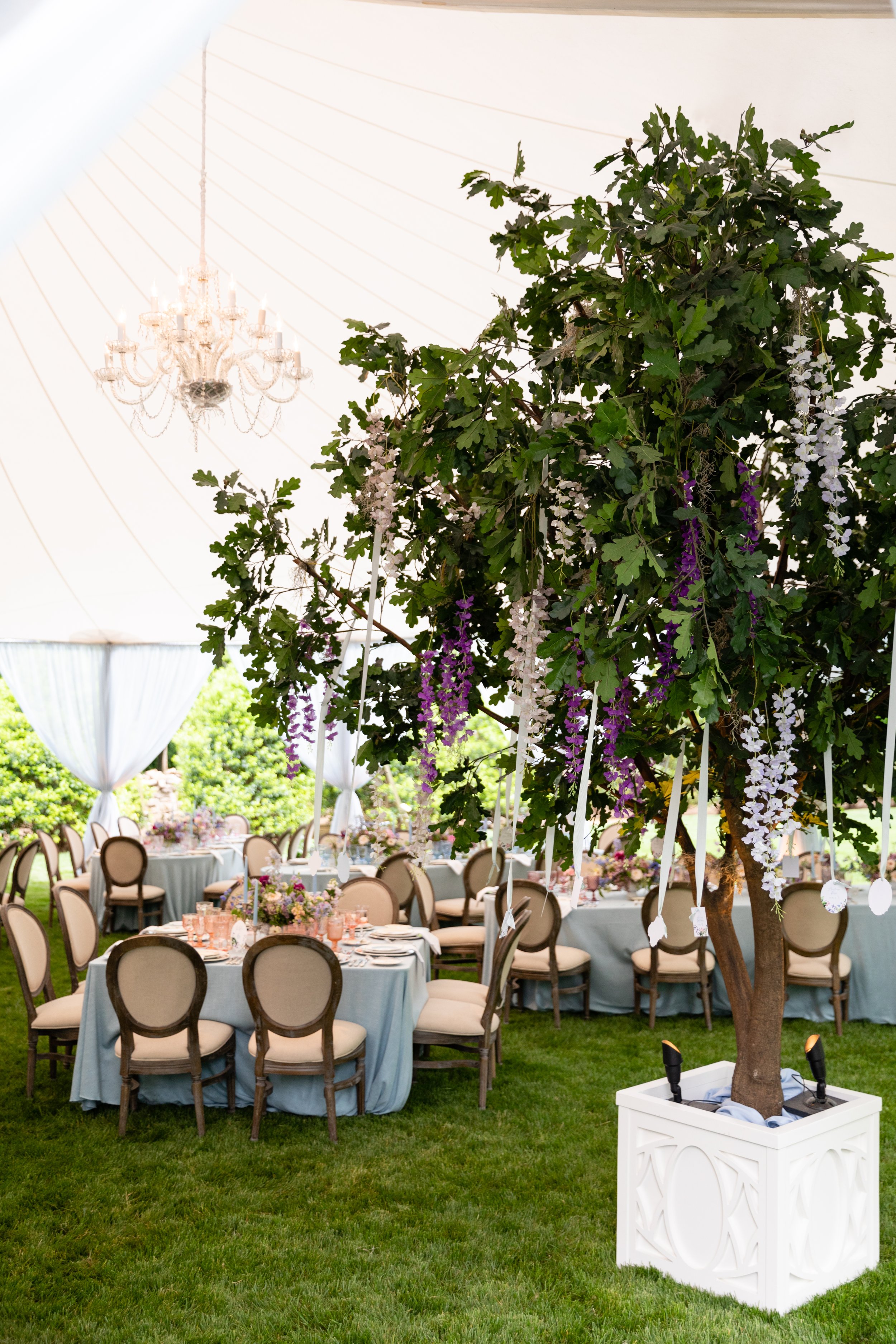 Growing, fresh floral installations and chandeliers with blush garden roses, lavender delphinium, wisteria, globe allium, and vines and greenery for a tented Bridgerton inspired engagement party at a private home in Nashville, TN.