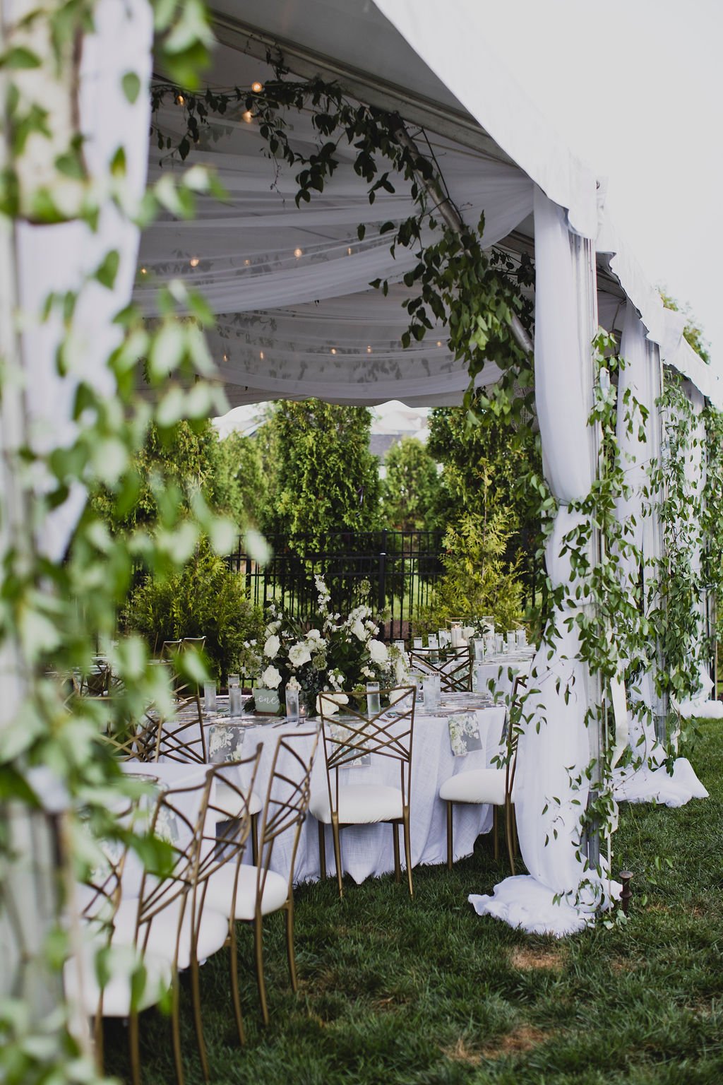 Gorgeous installations of smilax grew over the entrance to the tent, on the chandeliers, and all throughout the reception creating a warm, natural atmosphere. Designed by Rosemary and Finch in Nashville, TN.
