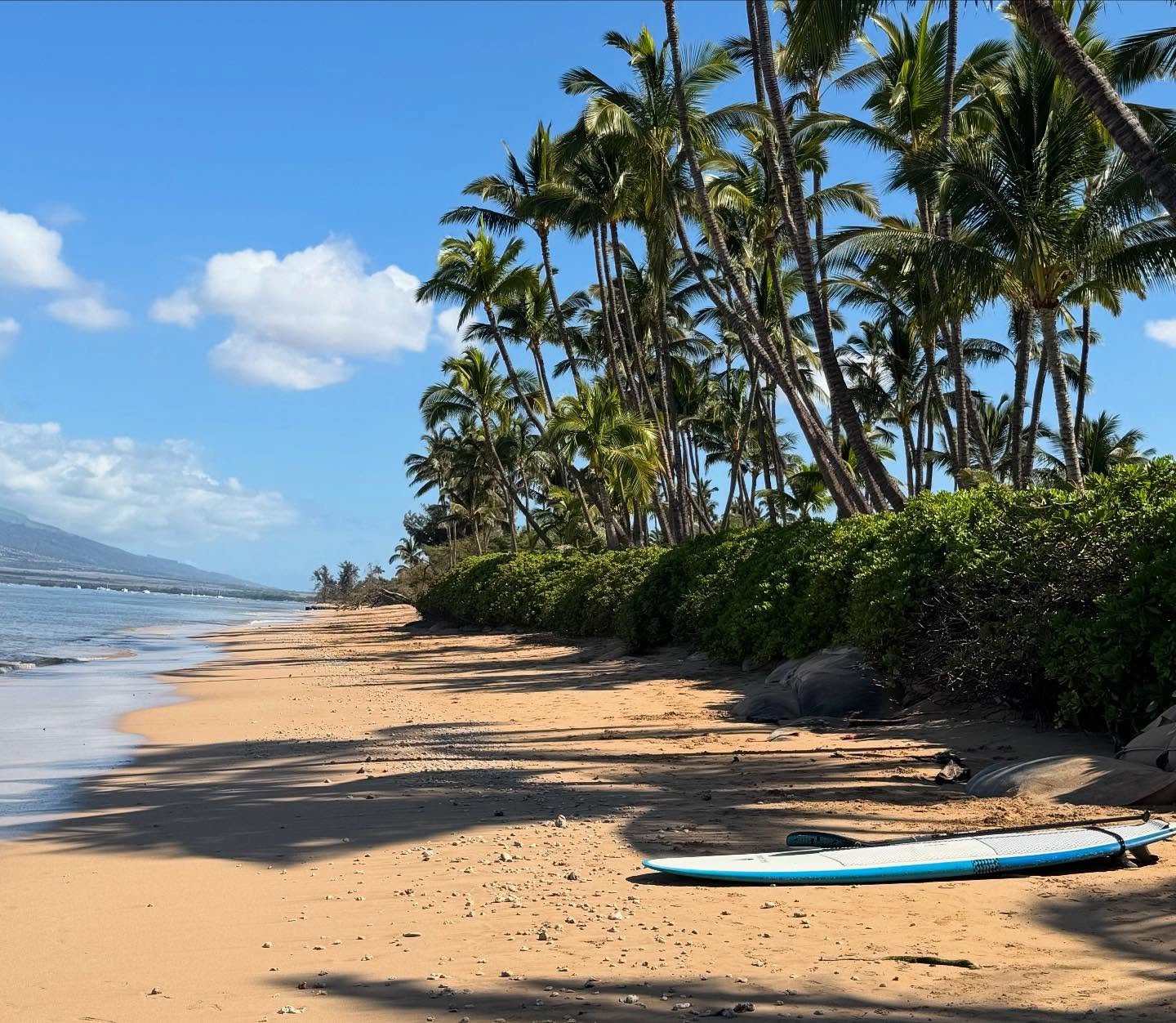 Perfect day for a paddle out