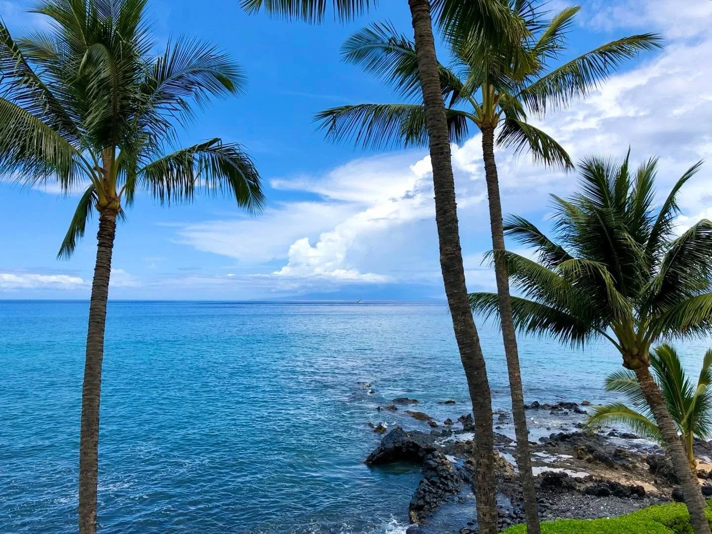 Best view in all of Wailea