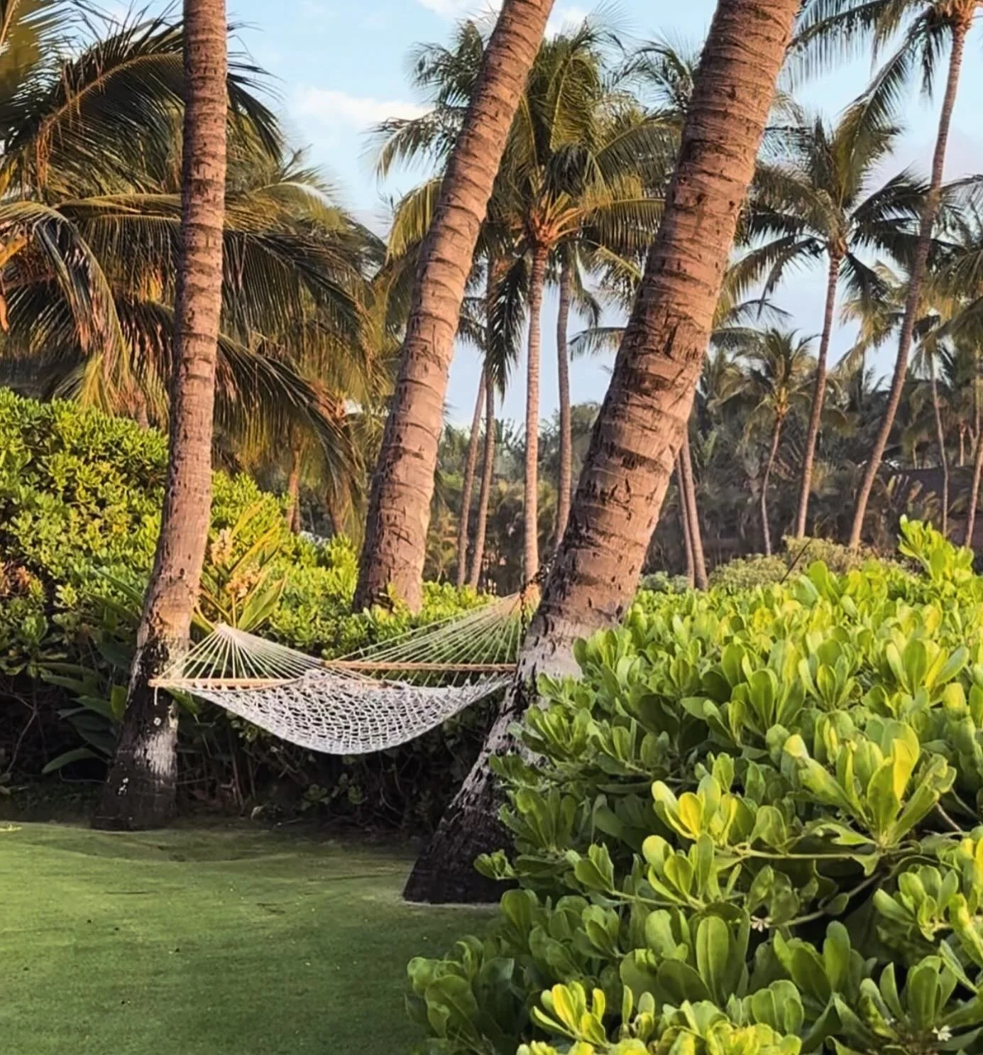 Front yard of Ocean Bliss Estate