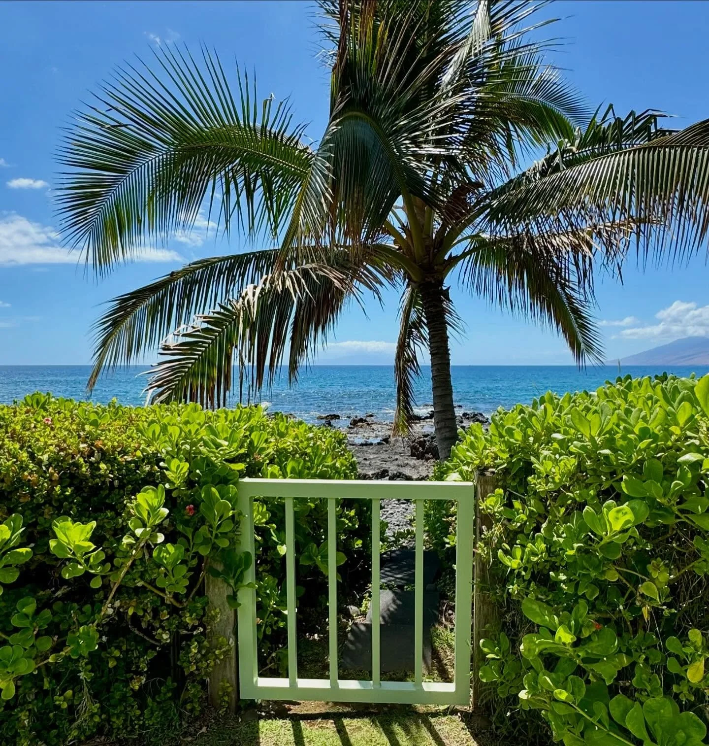 Gate to paradise @oceanblissmaui @polobeachhouse