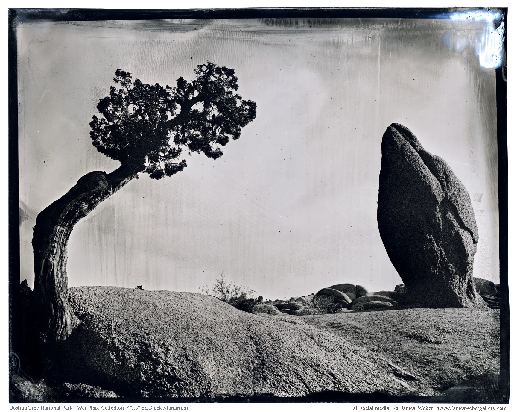 Joshua-Tree-(17).jpg
