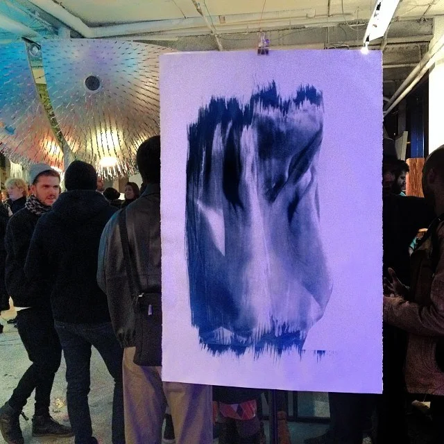 One of my Cyanotype Prints. 24"x36"